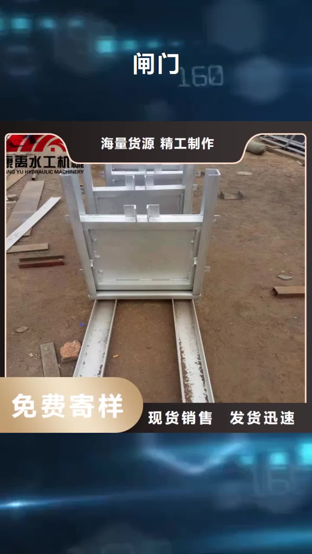 湖州 闸门实力商家供货稳定