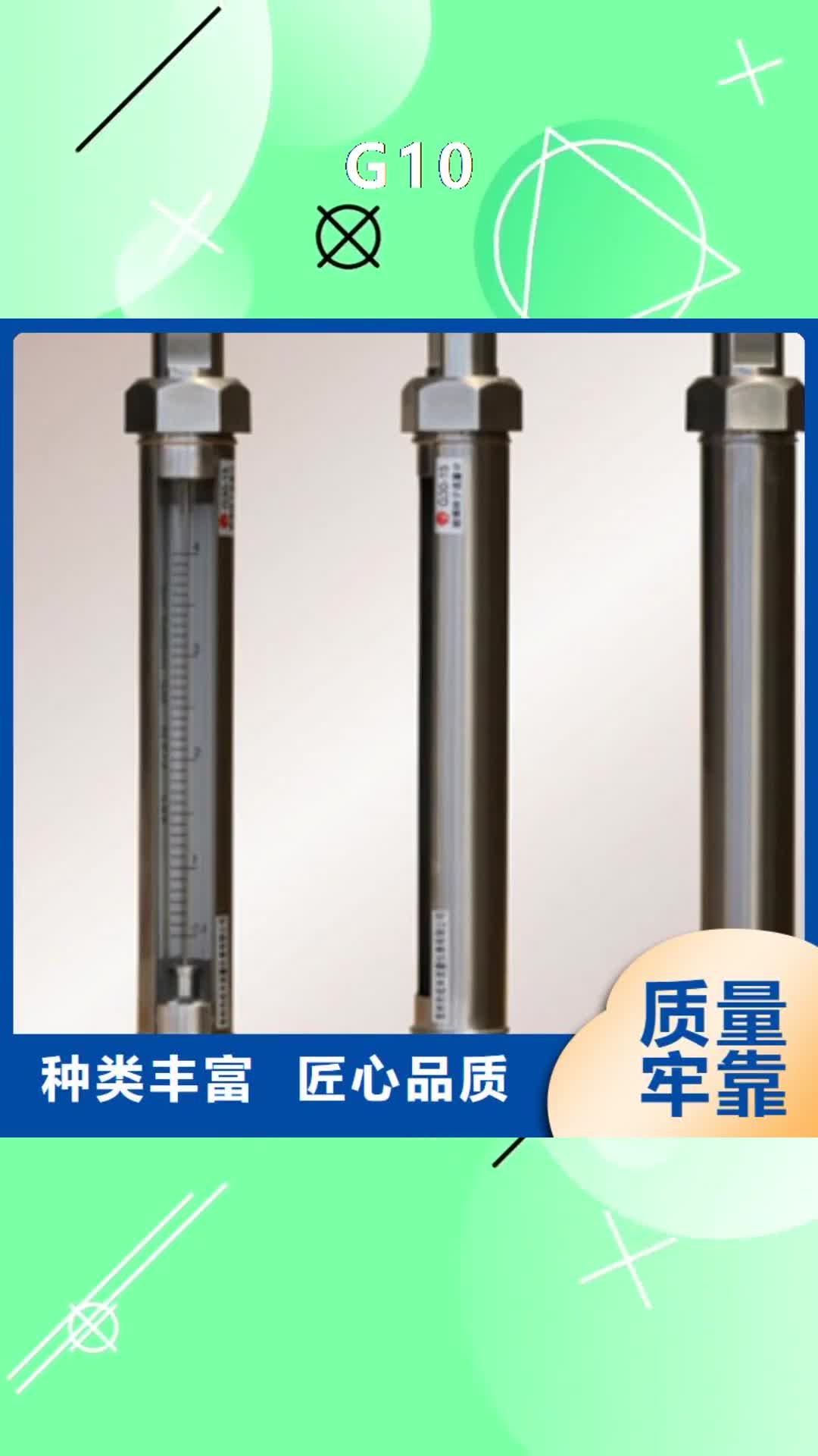 延边【G10】 浮子流量计商家