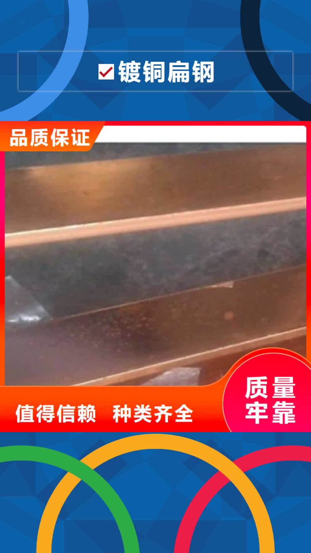 潮州 镀铜扁钢-【热镀锌角钢】厂家自营
