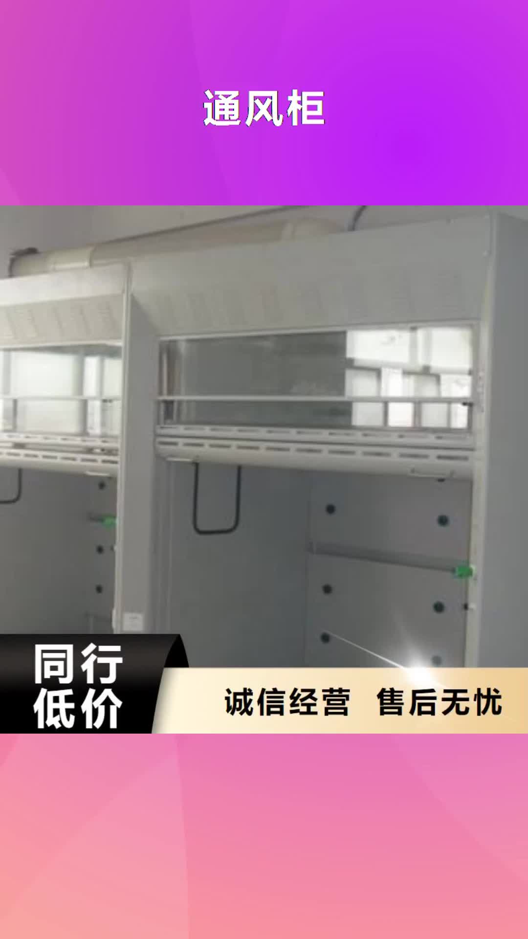 菏泽 通风柜 【实验室家具厂家】真材实料加工定制