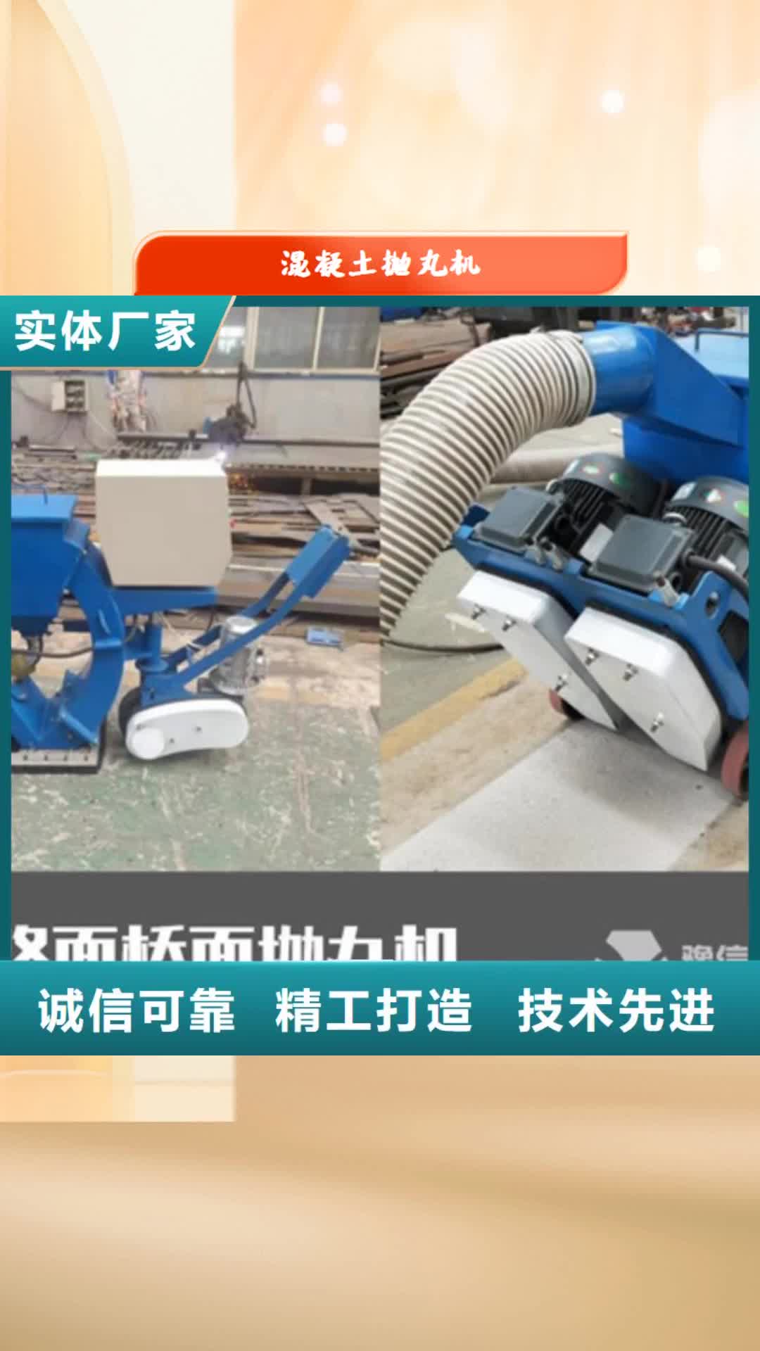 澳门 混凝土抛丸机 【路沿石成型机】实时报价