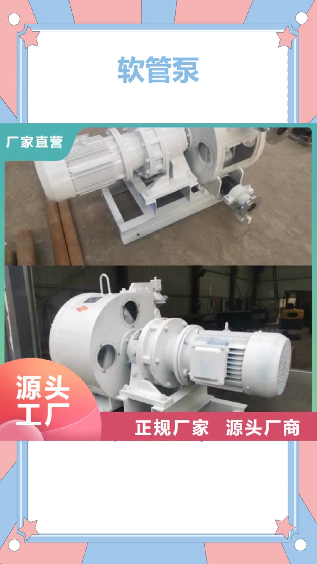 杭州 软管泵【拦水带成型机】型号全价格低