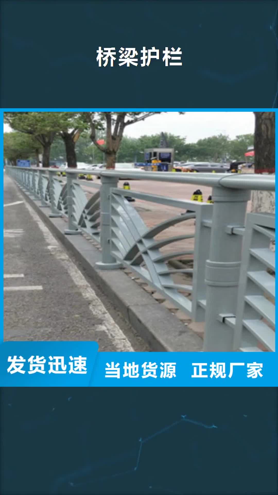 【陕西 桥梁护栏-景观护栏大厂家实力看得见】