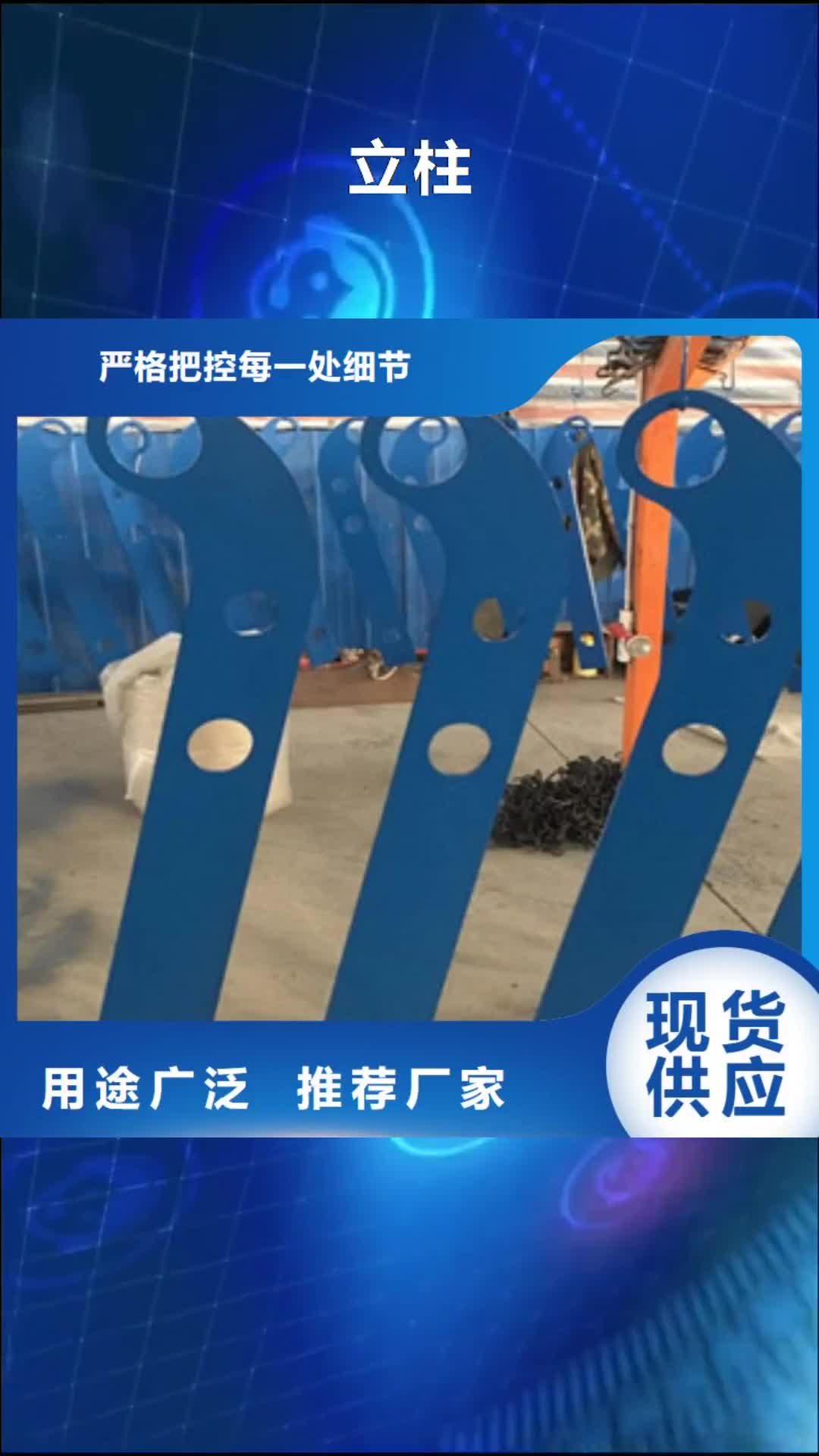深圳 立柱,【不锈钢复合管桥梁护栏】一对一为您服务
