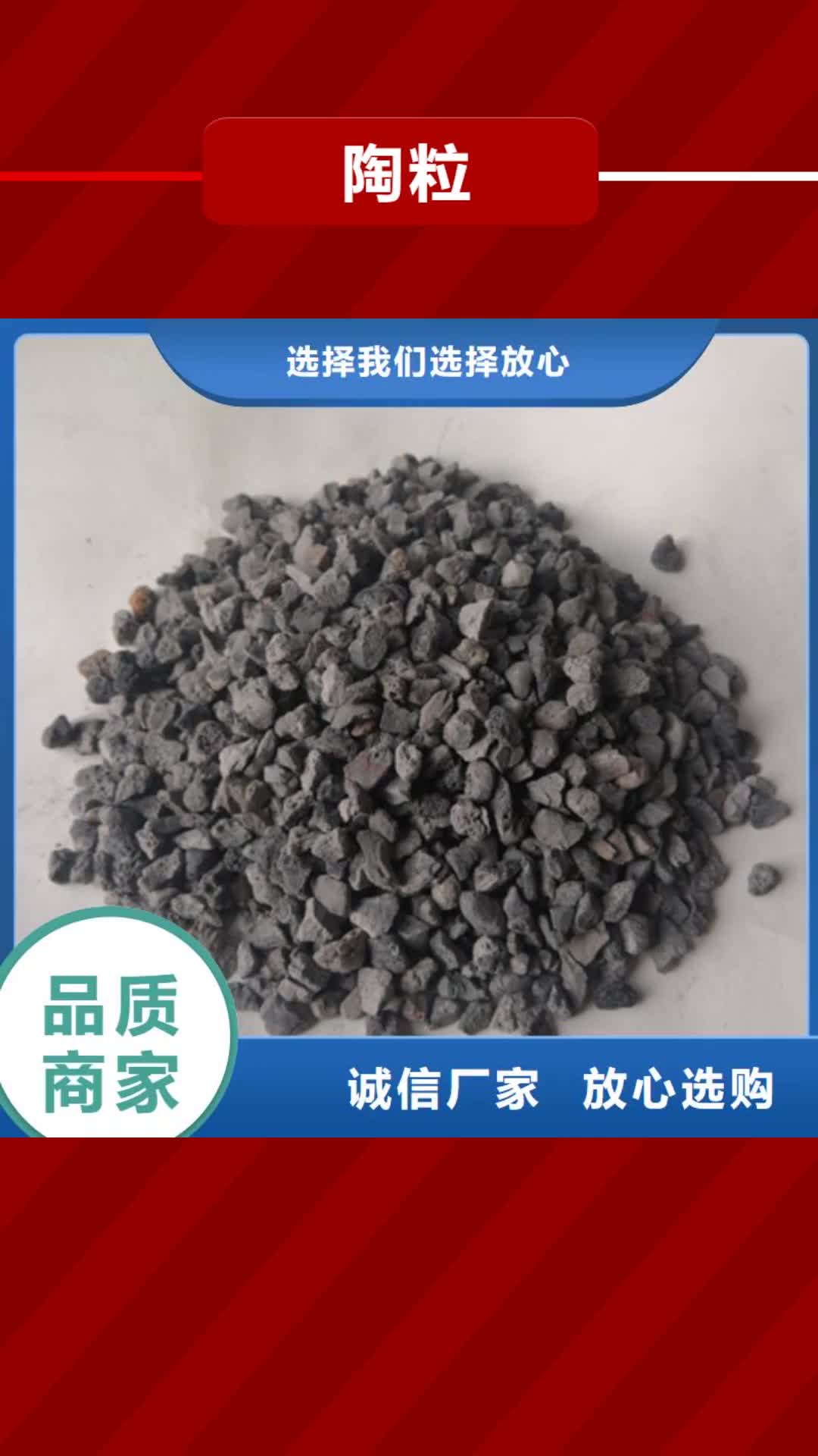 【本溪 陶粒_蜂窝斜管填料 制造厂家】