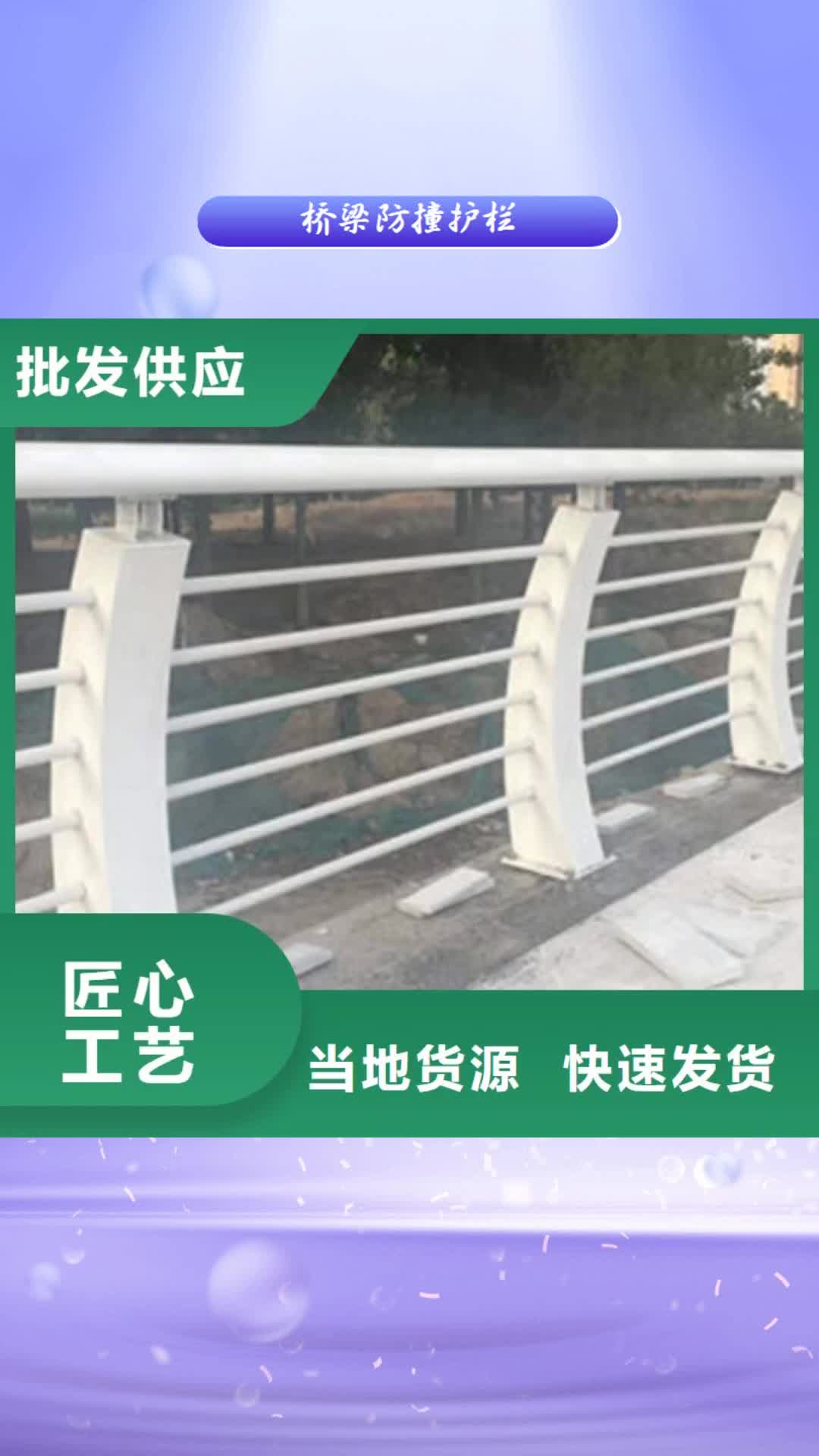 直辖 桥梁防撞护栏-【河道护栏】专业生产厂家