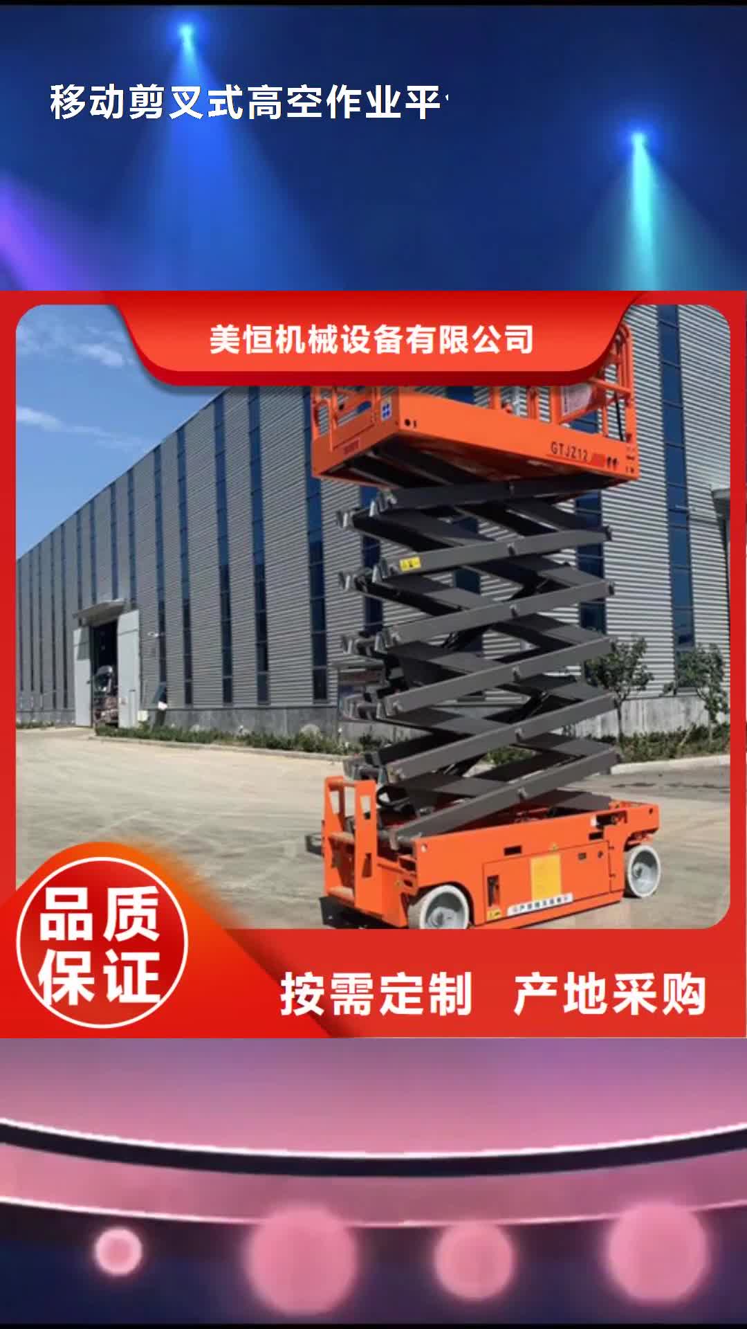 【衡水 移动剪叉式高空作业平台厂家 仓储厂房货梯哪家好实体厂家支持定制】