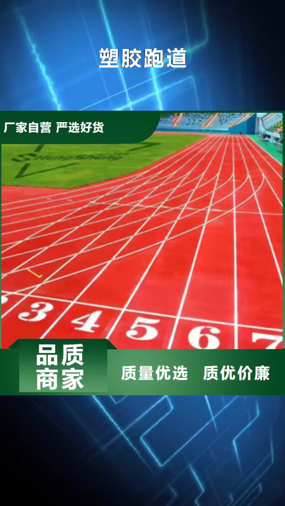 安阳【塑胶跑道】,弹性地板球馆现货直供