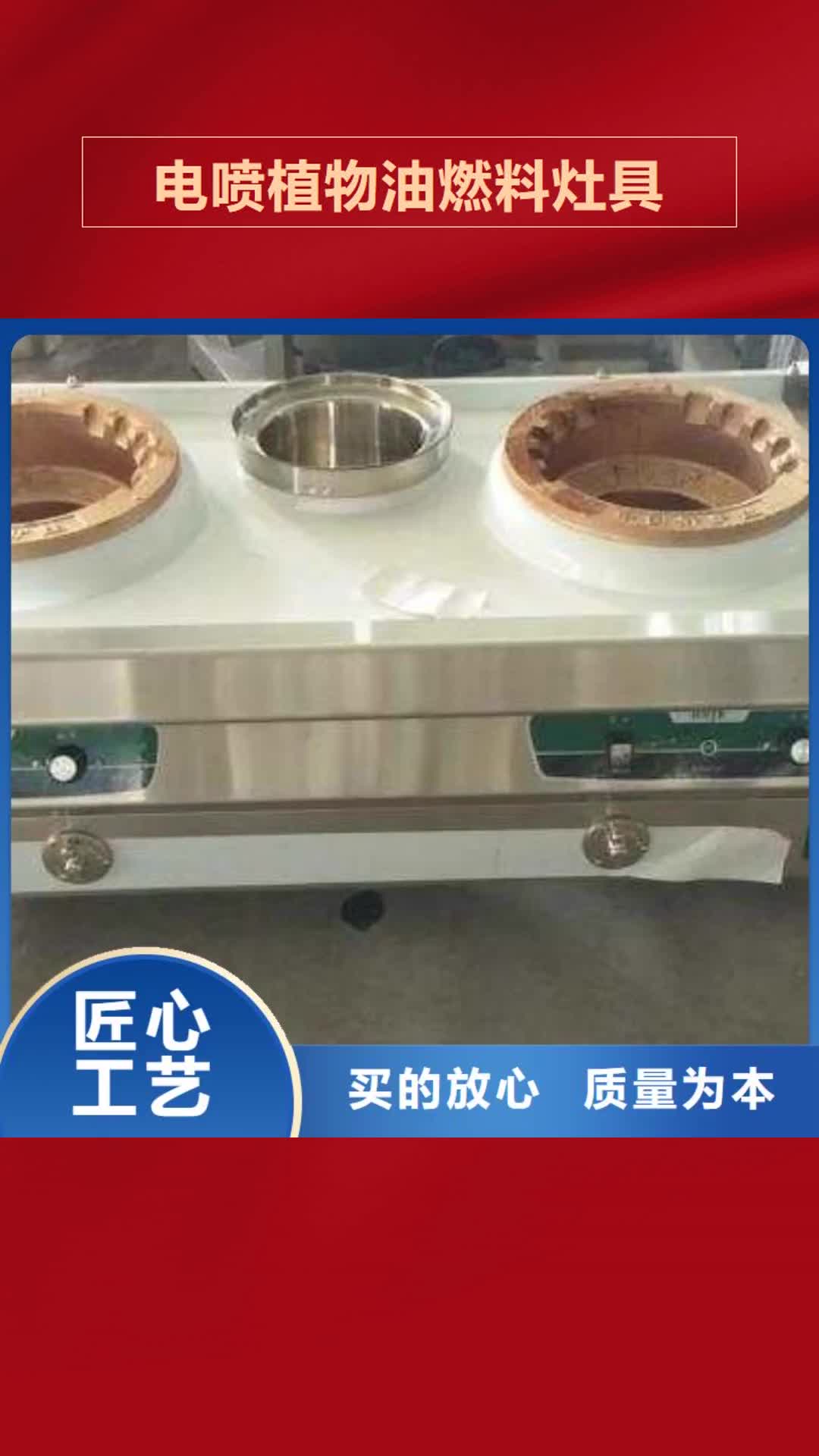 内蒙古 电喷植物油燃料灶具,【植物油燃料】产品细节