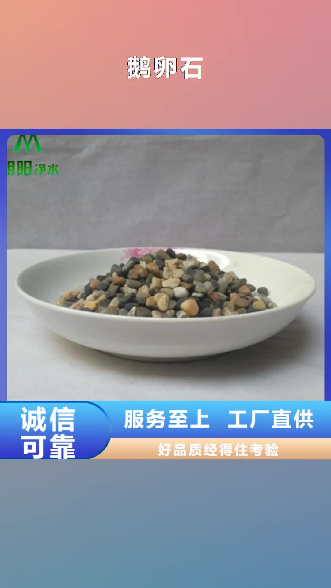 江门【鹅卵石】 食品级硅藻土供您所需