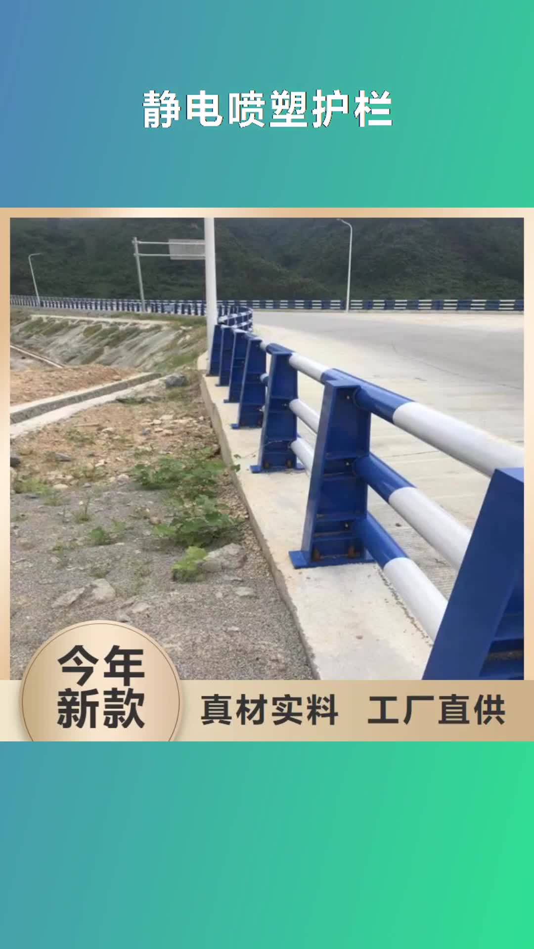 拉萨【静电喷塑护栏】-碳素复合管厂家精工打造