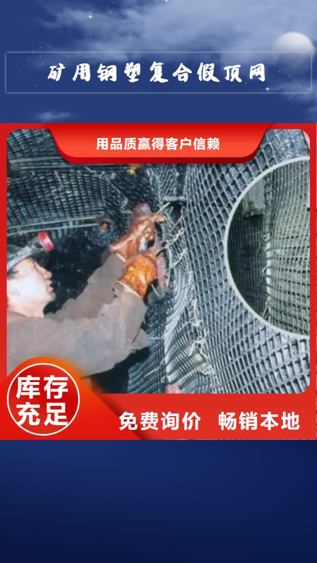 青海 矿用钢塑复合假顶网,【防渗土工膜】厂家采购