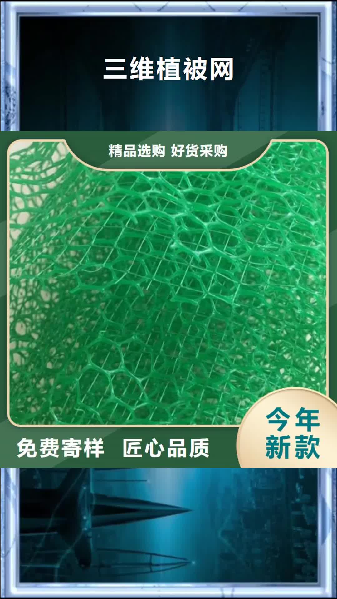 海北【三维植被网】,土工布货到付款