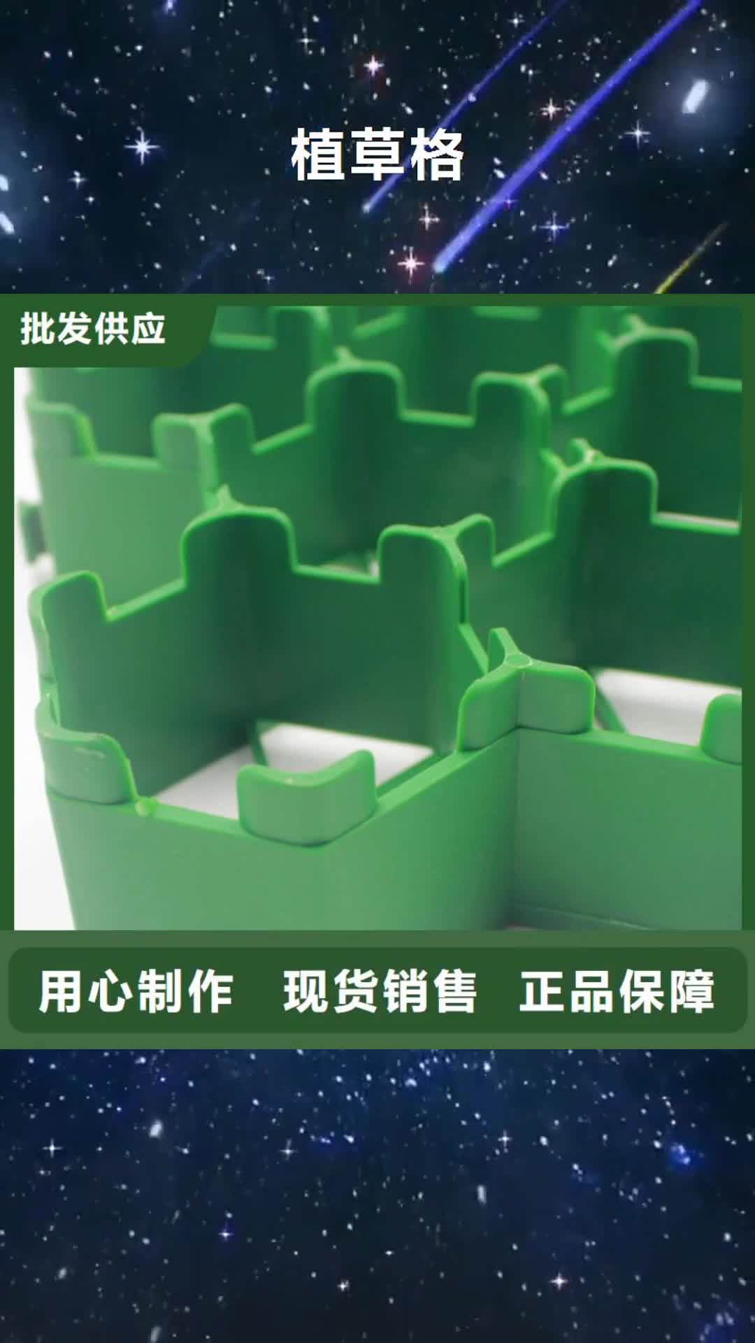 【桂林 植草格_短丝土工布工厂采购】