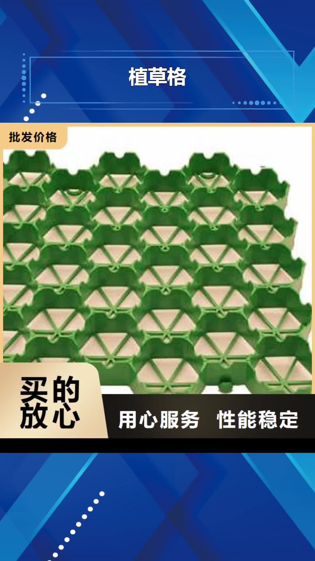 【铁岭 植草格-软式透水管现货批发】
