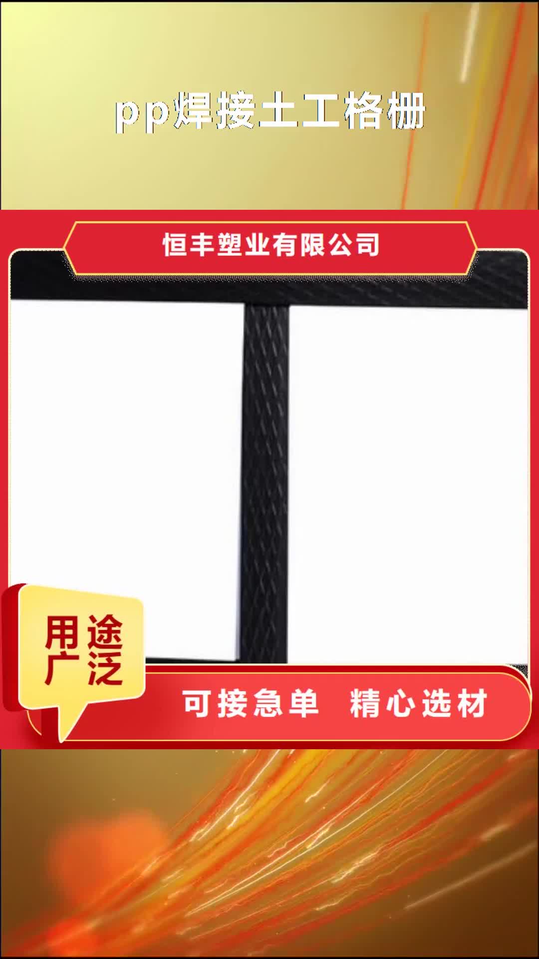 海西 pp焊接土工格栅【HDPE土工膜】为您提供一站式采购服务