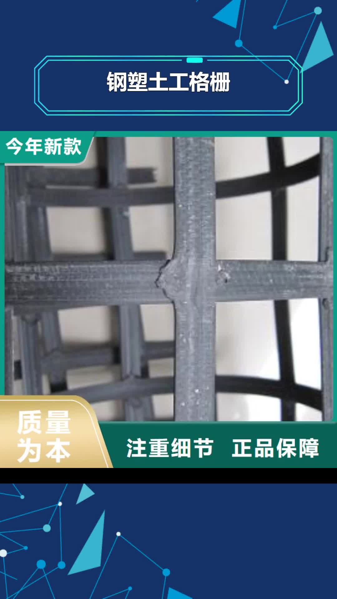 赣州【钢塑土工格栅】 涤纶格栅客户满意度高