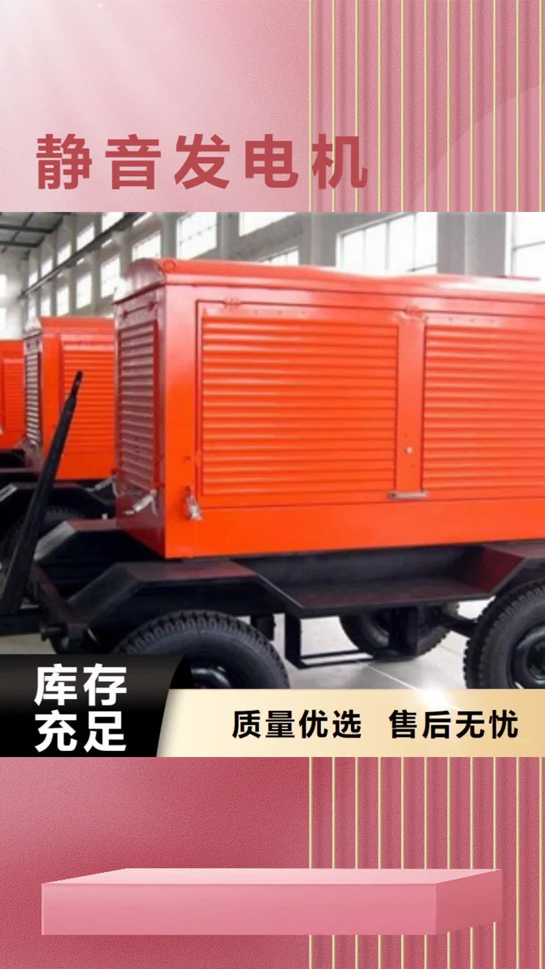 乐山 静音发电机-【柴油发电机销售】厂家现货供应
