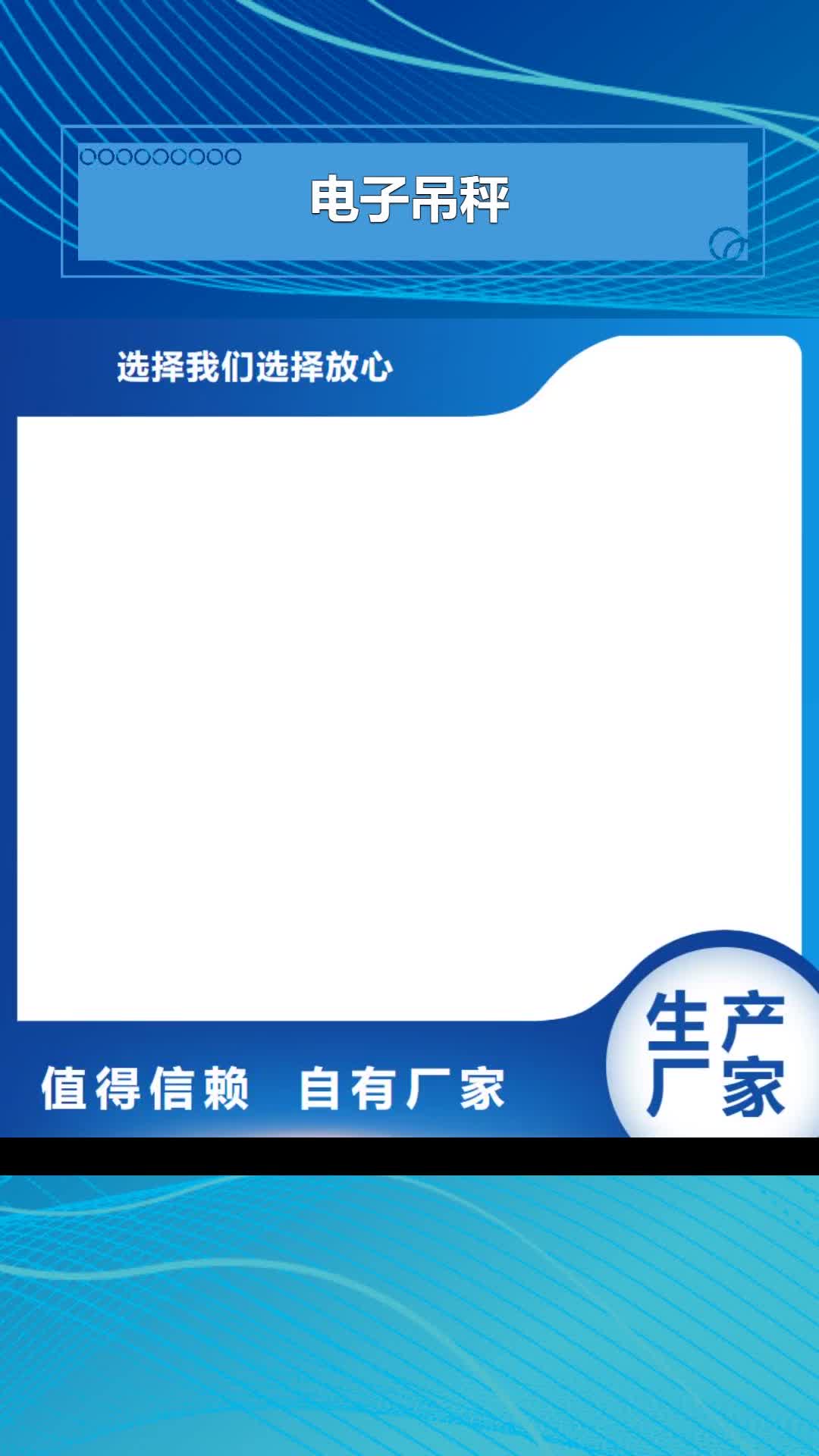 福建【电子吊秤】-地磅厂家自营