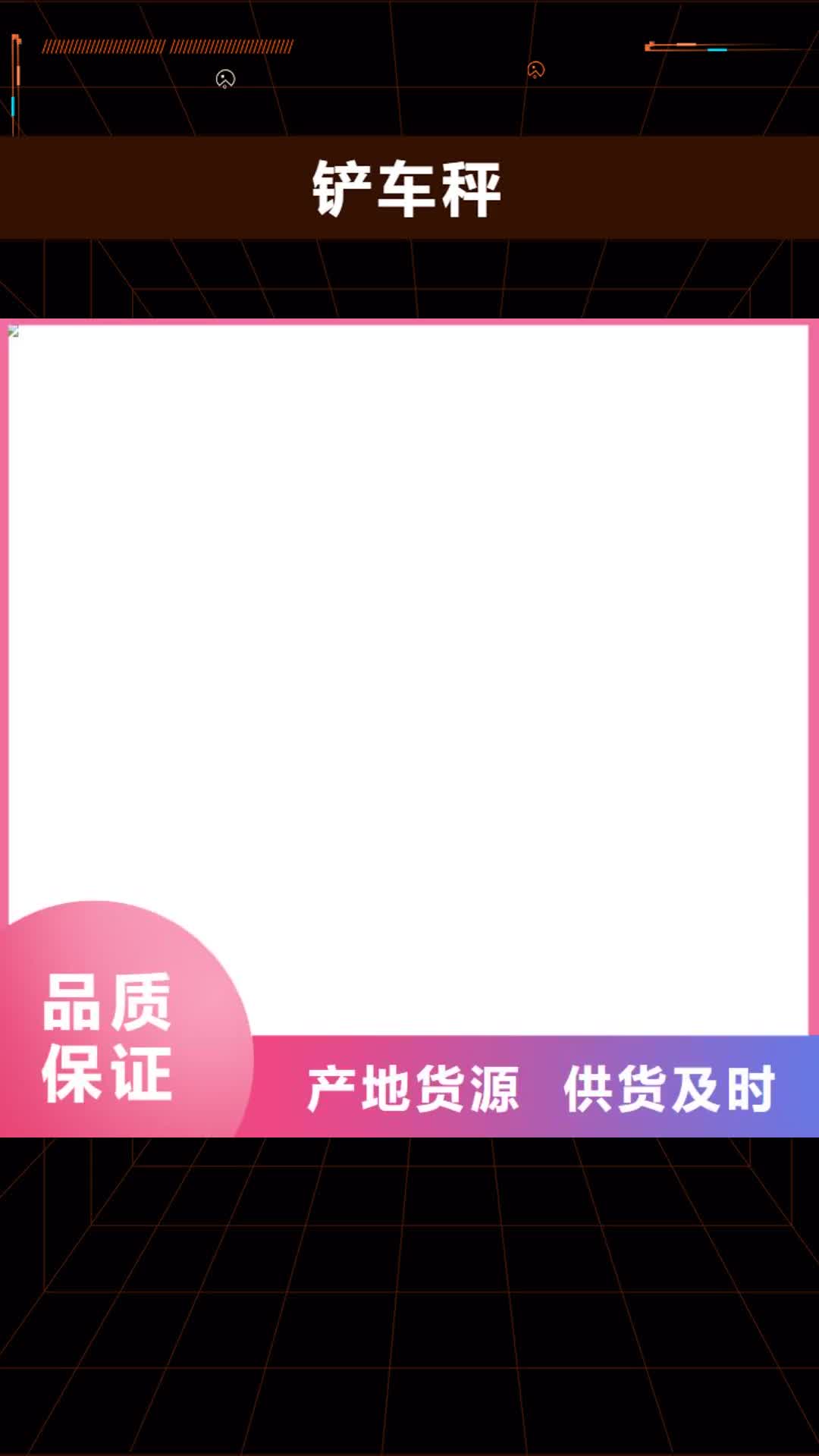 红河【铲车秤】,龙门洗车机细节展示