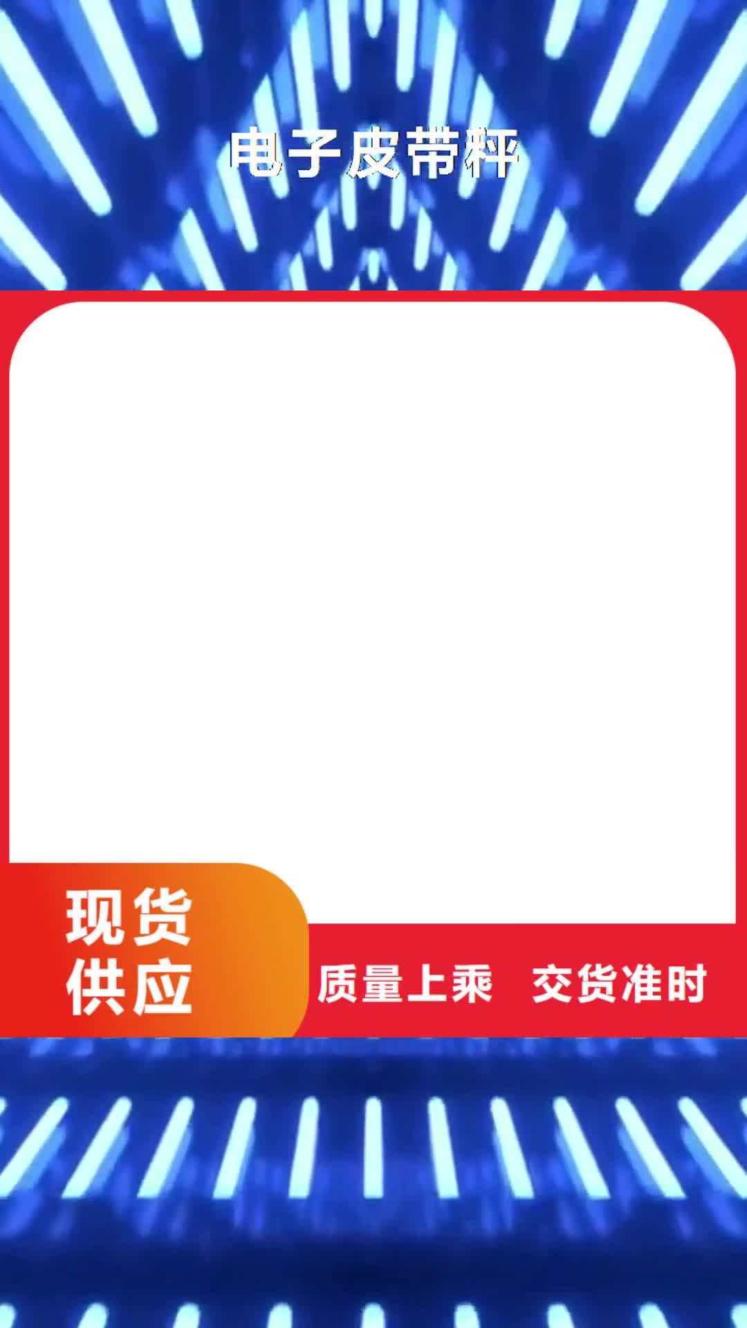 菏泽 电子皮带秤 【电子吊磅】质量检测