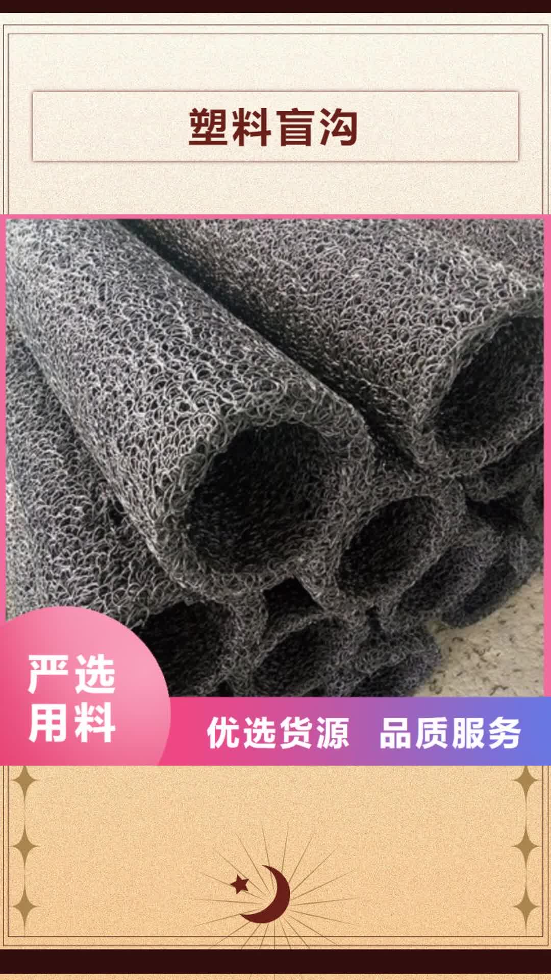 【盘锦 塑料盲沟-三维复合排水网原厂制造】