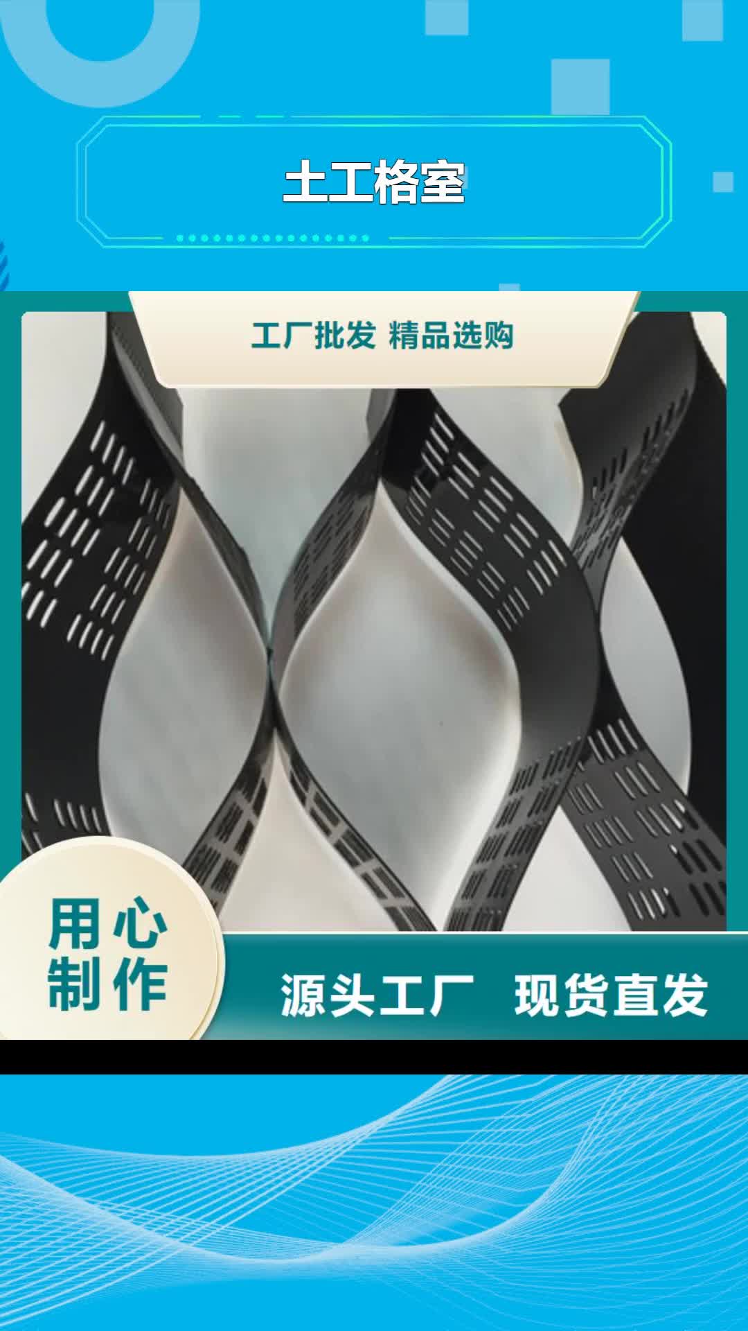 那曲【土工格室】 单向拉伸塑料格栅供货及时