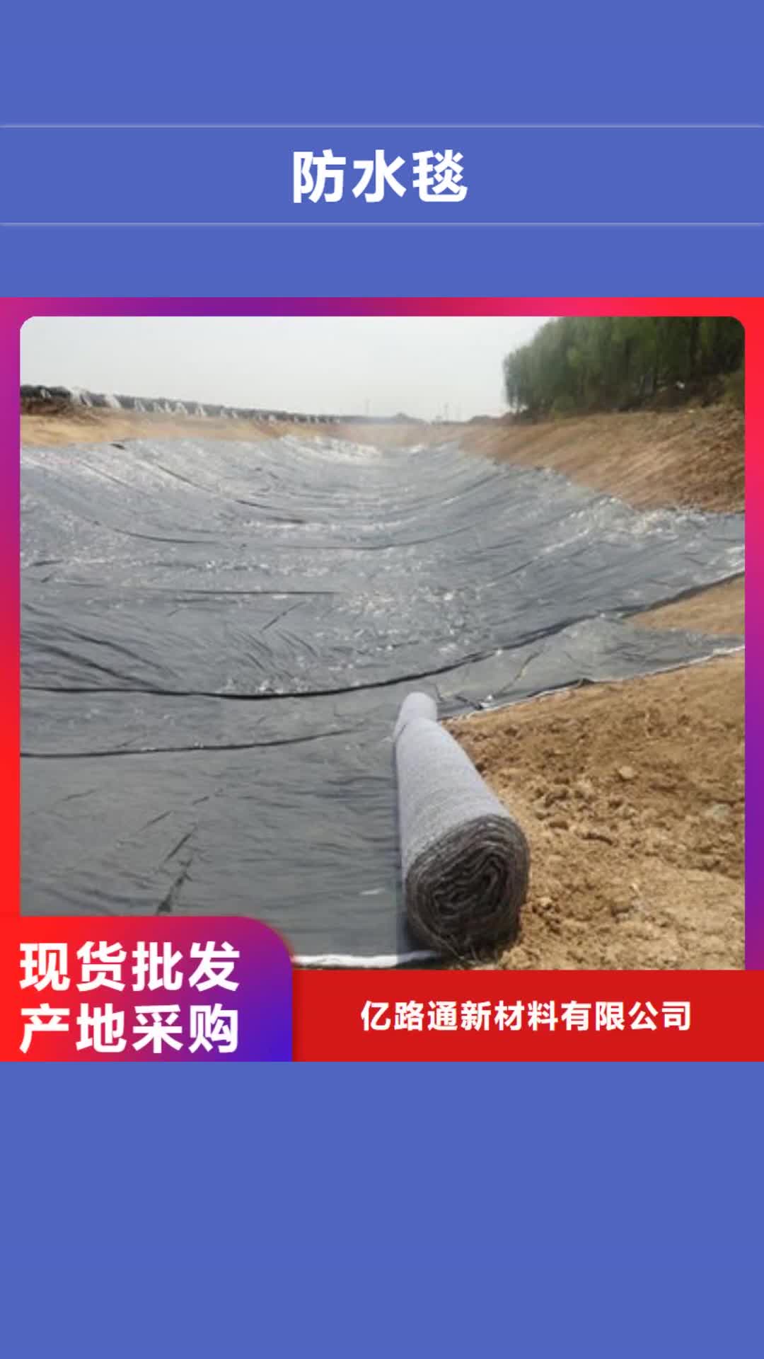 临沂【防水毯】 土工布批发多年实力厂家