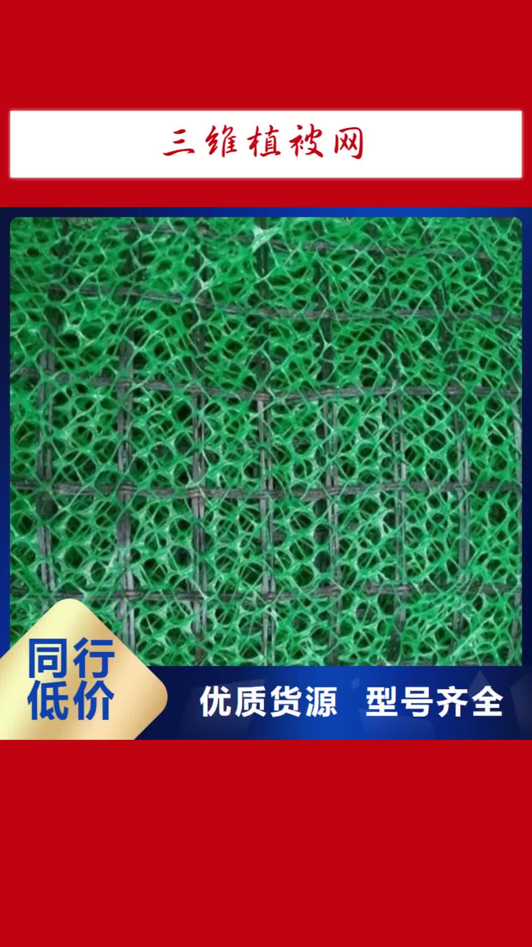 梅州【三维植被网】_玻璃纤维土工格栅质检严格