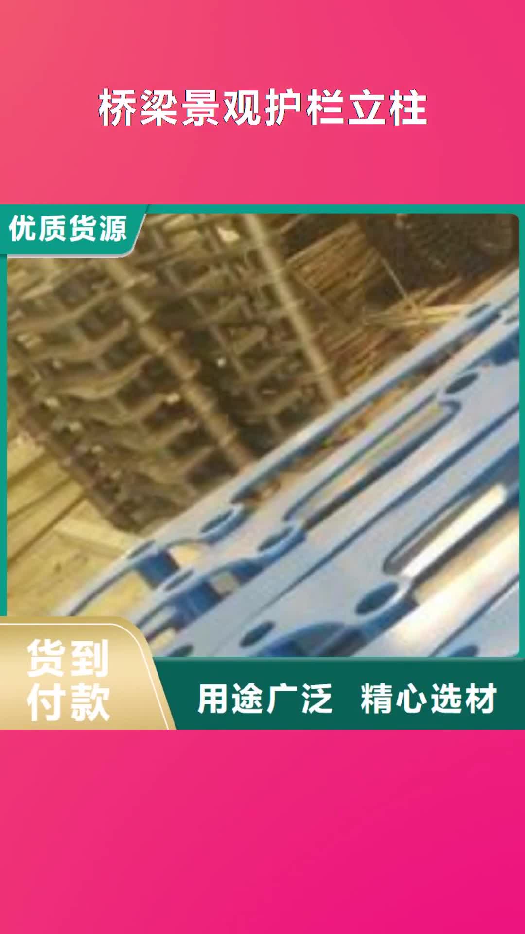 酒泉 桥梁景观护栏立柱-【不锈钢绳索护栏】自产自销