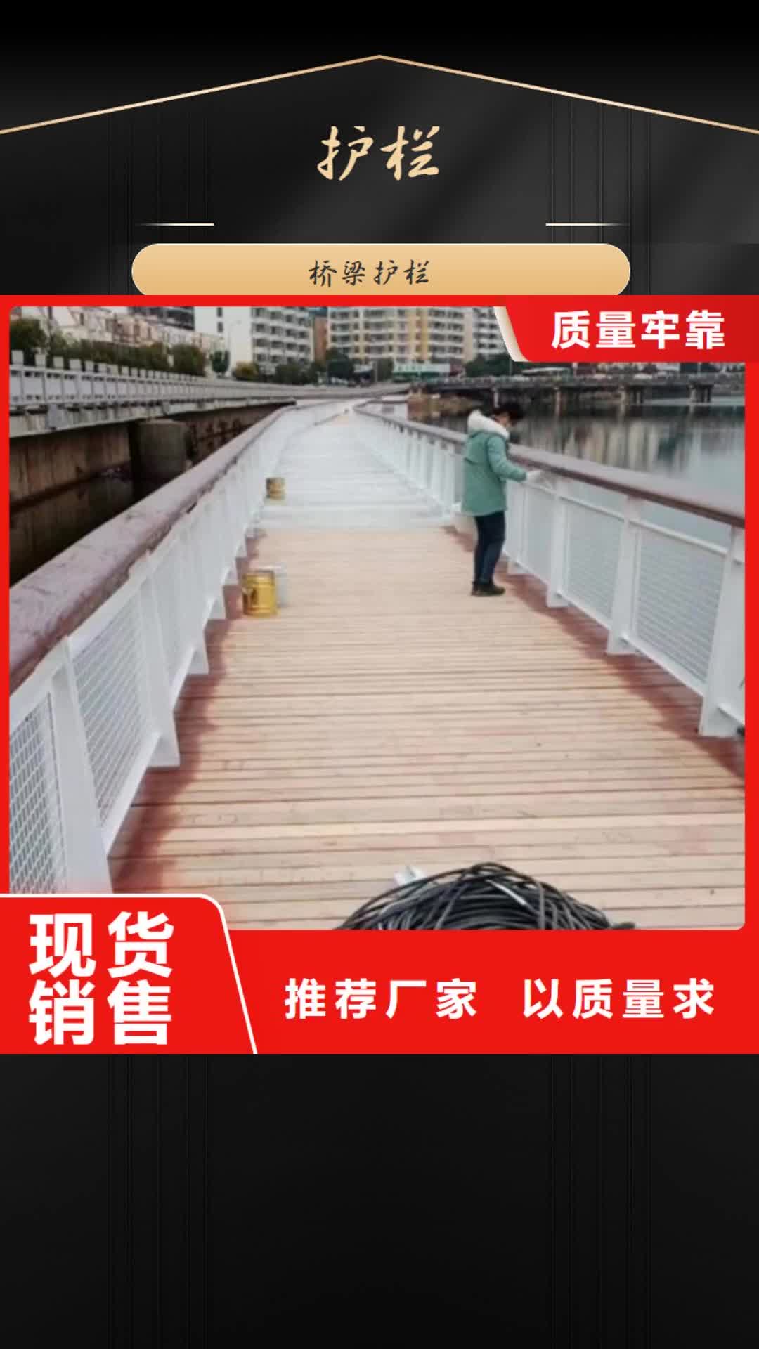 【西藏 护栏-河道防撞护栏匠心制造】