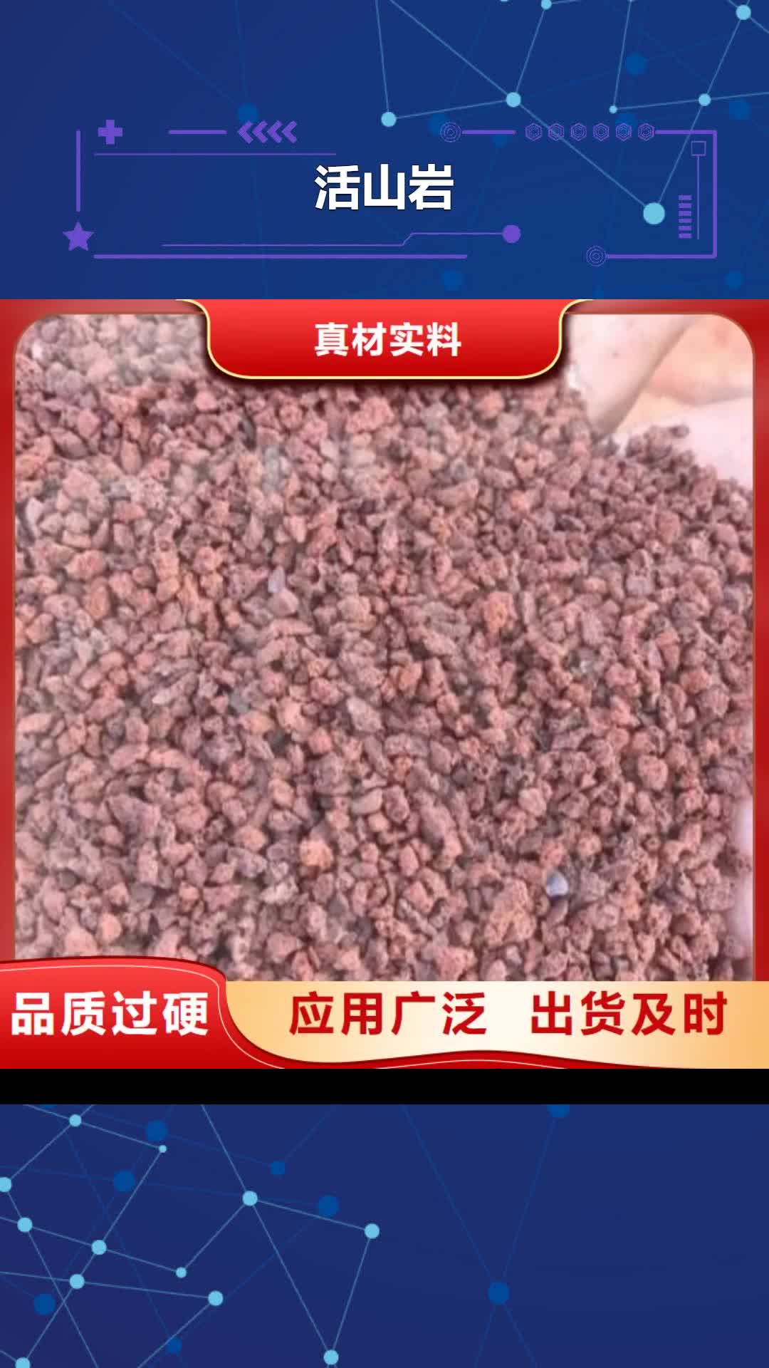 【陕西 活山岩,吸附剂行业优选】