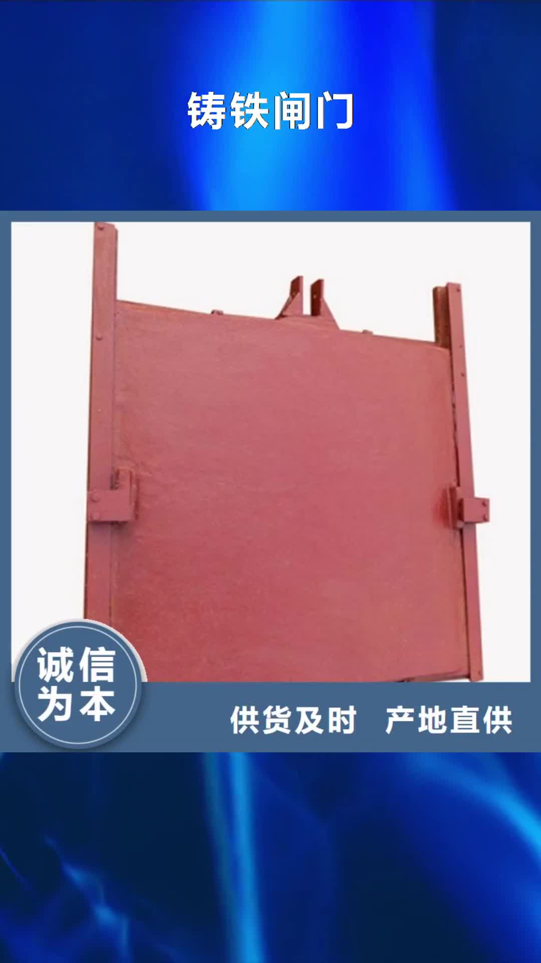 岳阳 铸铁闸门-【镶铜铸铁闸门】品质好才是硬道理