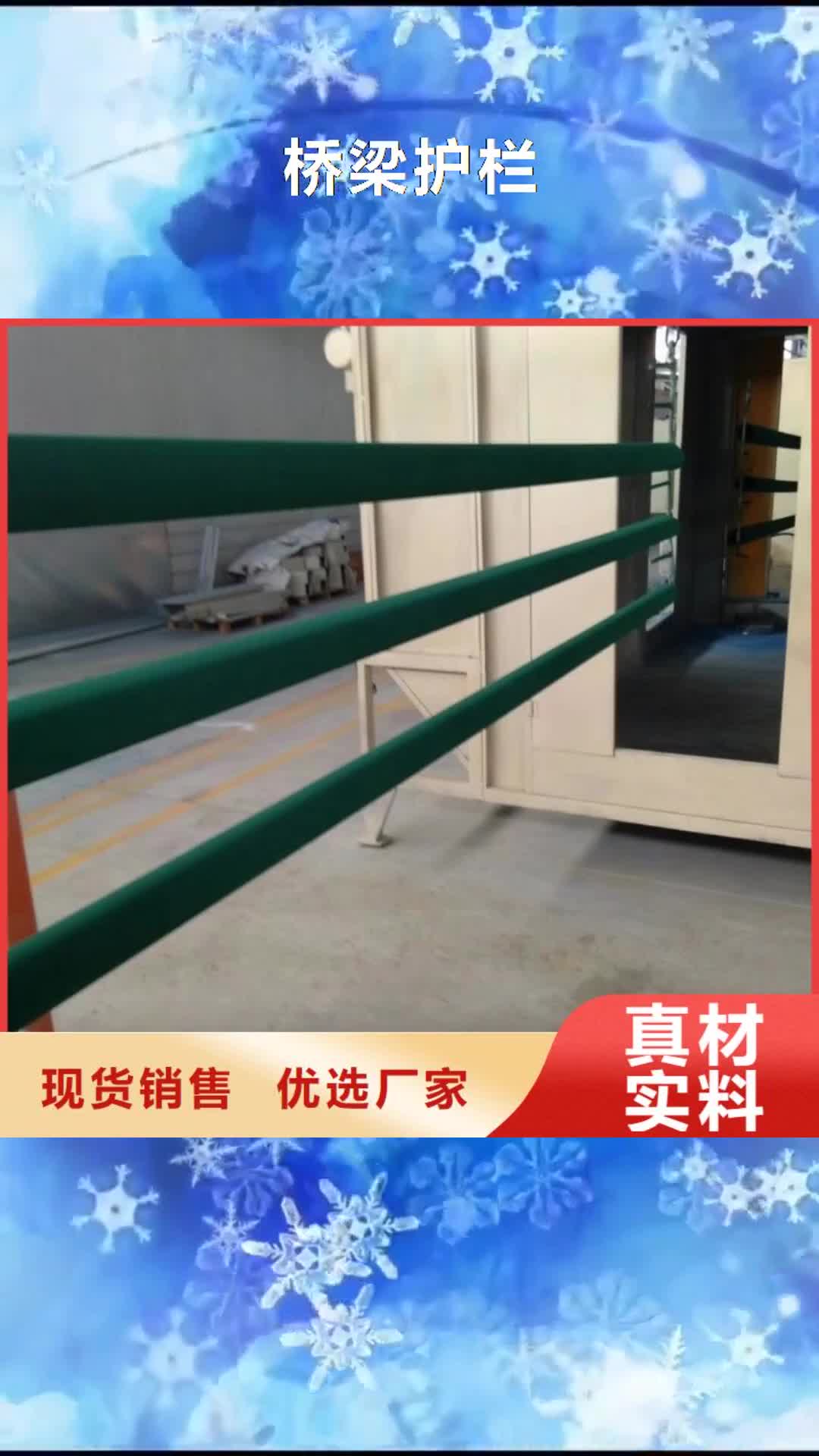 铜陵 桥梁护栏【防撞护栏】符合行业标准