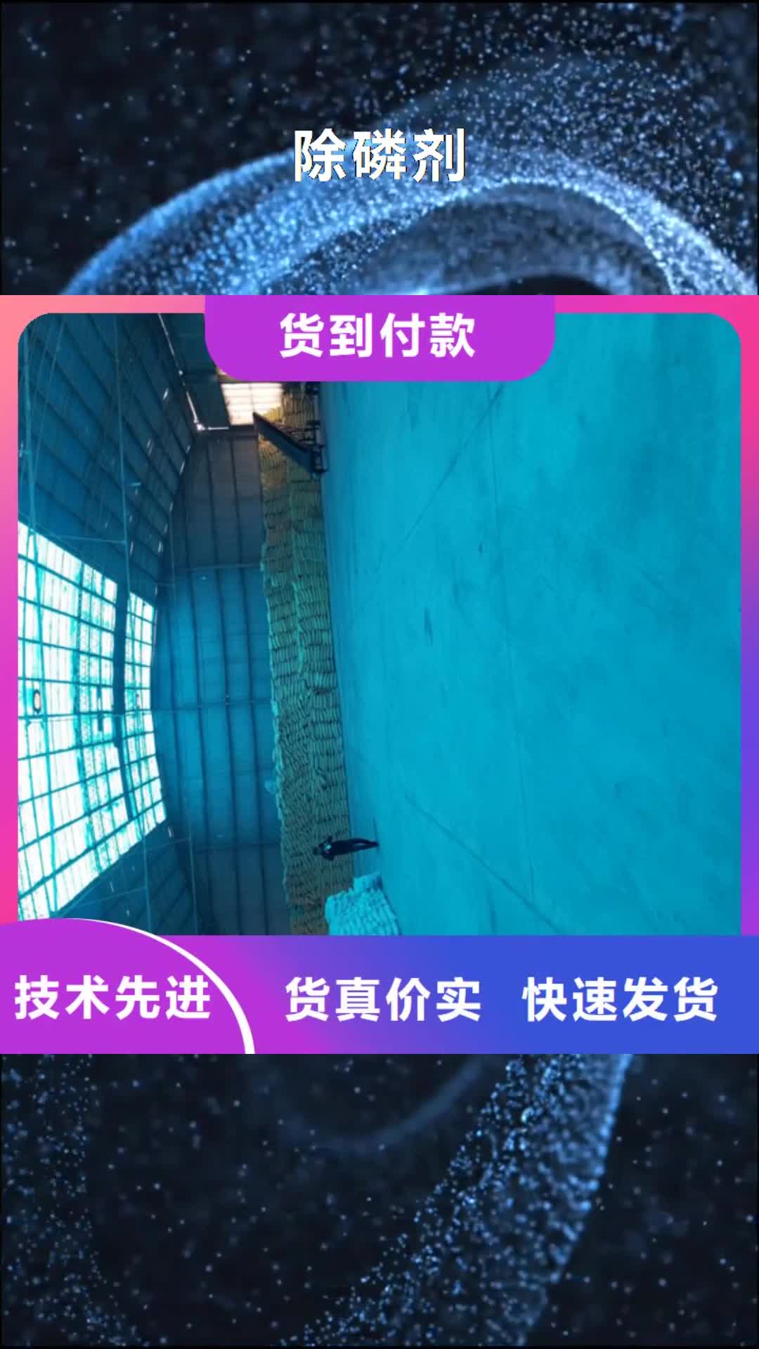 【益阳 除磷剂,两性离子聚丙烯酰胺工厂价格】