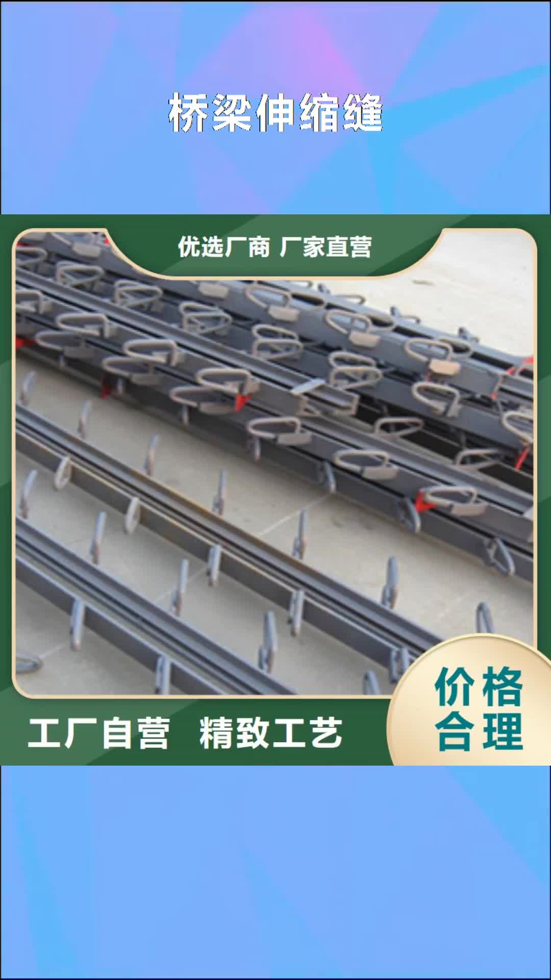 衡水 桥梁伸缩缝_【桥梁加固】符合行业标准
