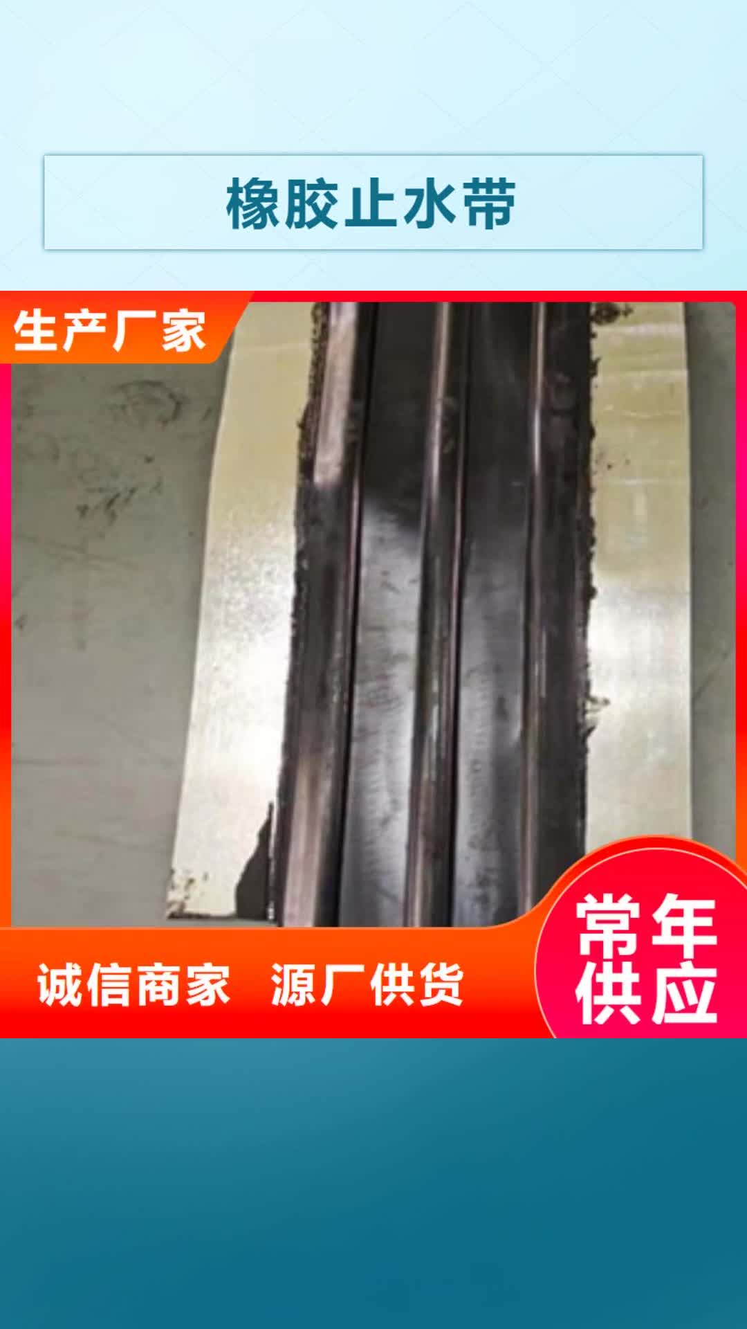临汾【橡胶止水带】 橡胶坝修补好货直销