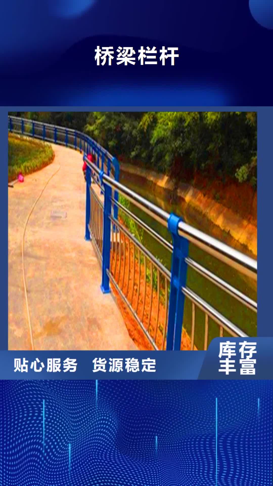 【三门峡 桥梁栏杆 桥梁灯光护栏好品质售后无忧】