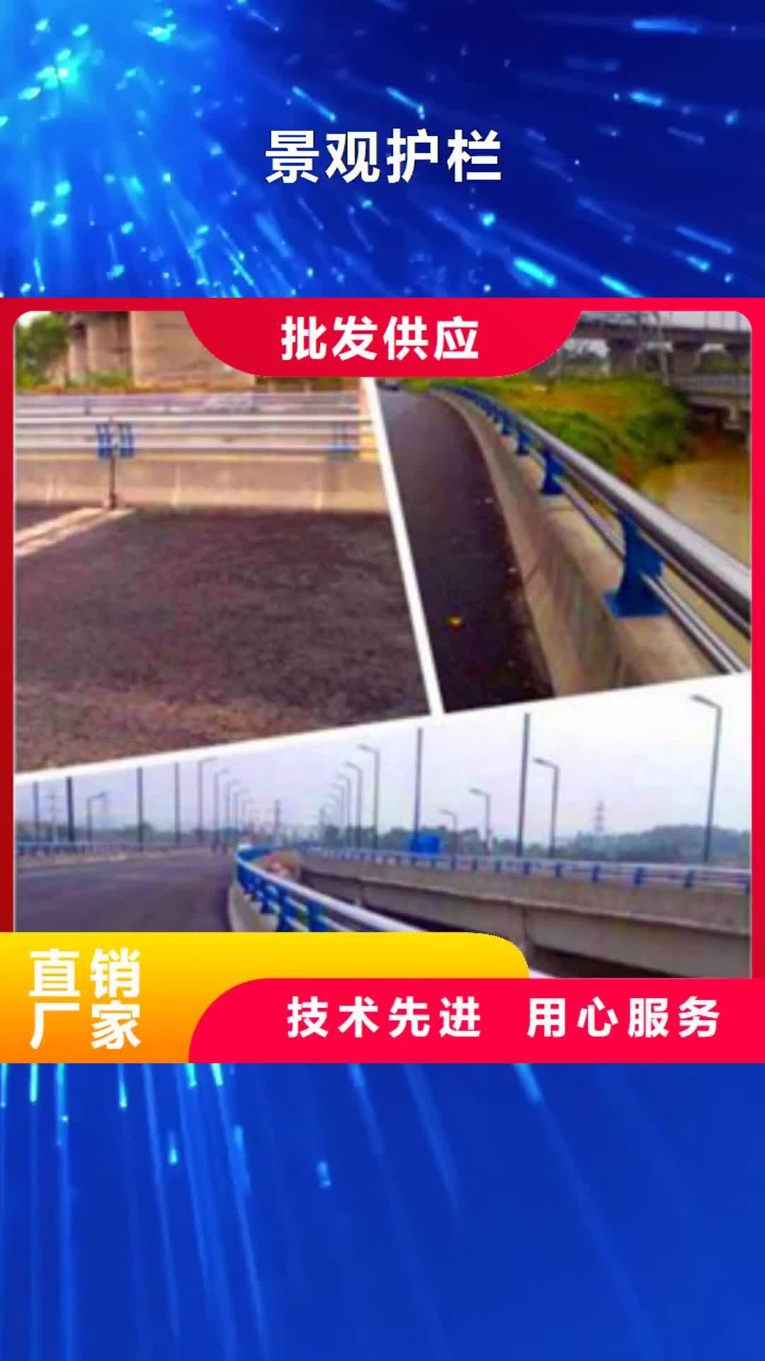 【阿拉善 景观护栏 不锈钢护栏选择我们没错】