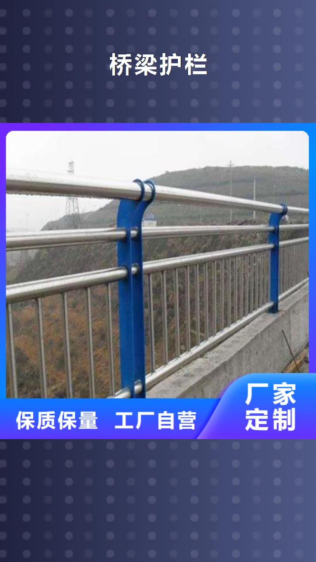 【巢湖 桥梁护栏_人行天桥防护栏供您所需】