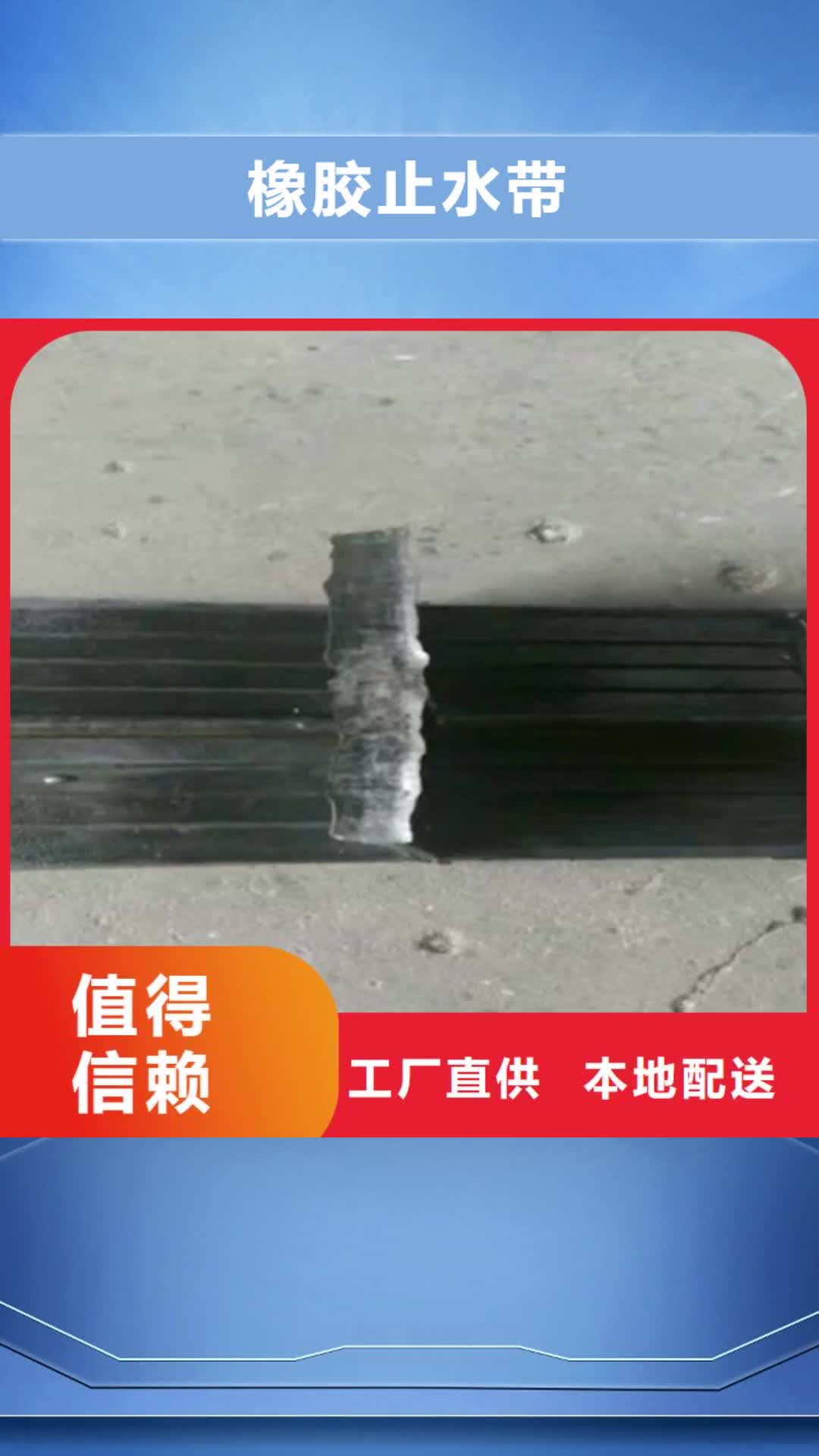 【新余 橡胶止水带-模数式桥梁伸缩缝优良工艺】