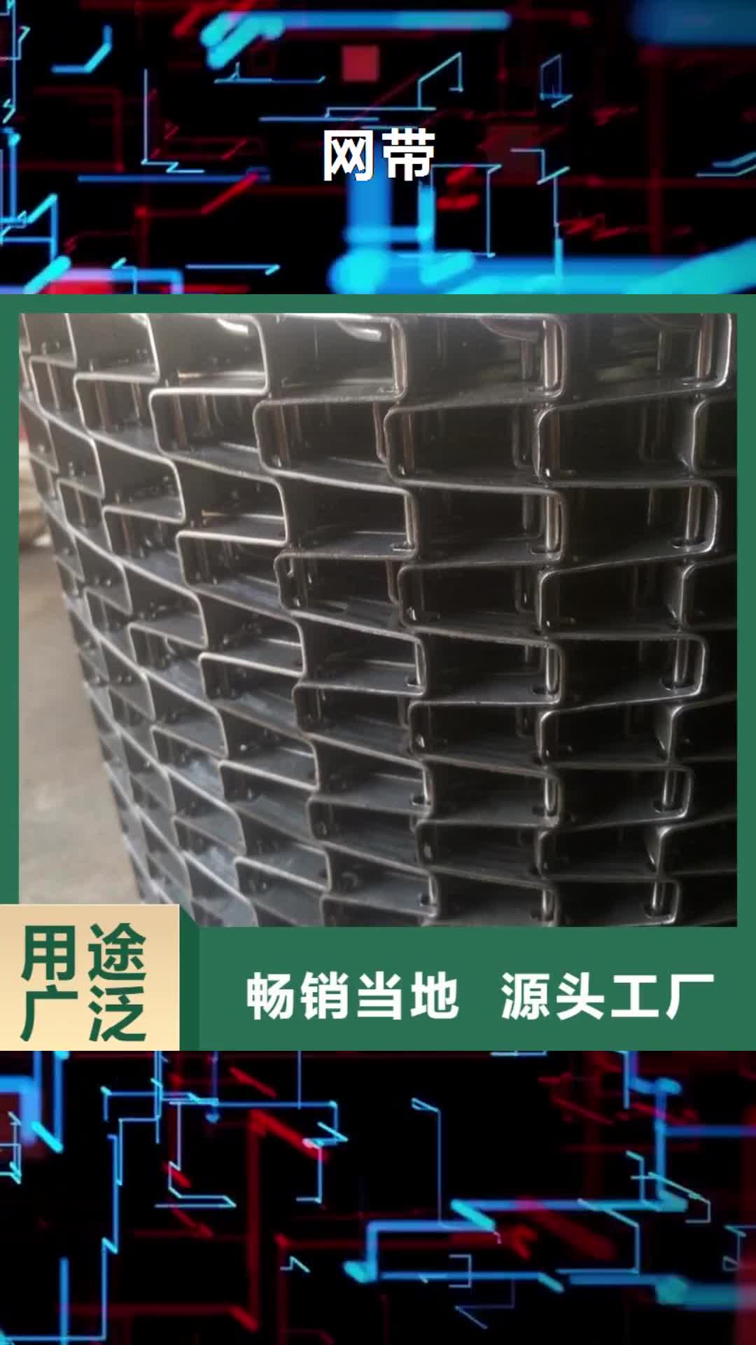 朝阳 网带_【输送机厂家】自有厂家