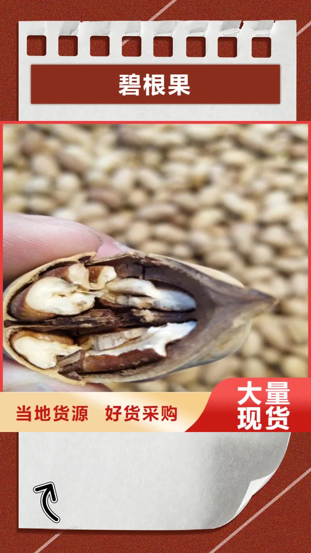 榆林 碧根果 【樱桃苗】一站式供应厂家
