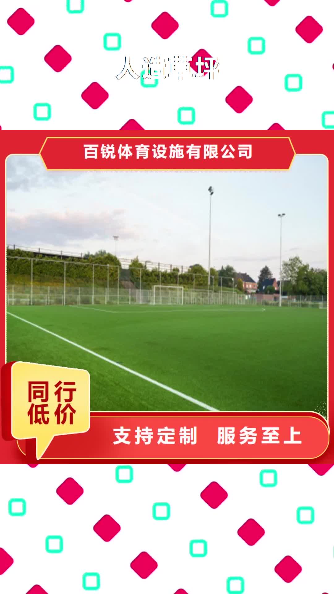 梅州 人造草坪_【塑胶球场】认准大品牌厂家