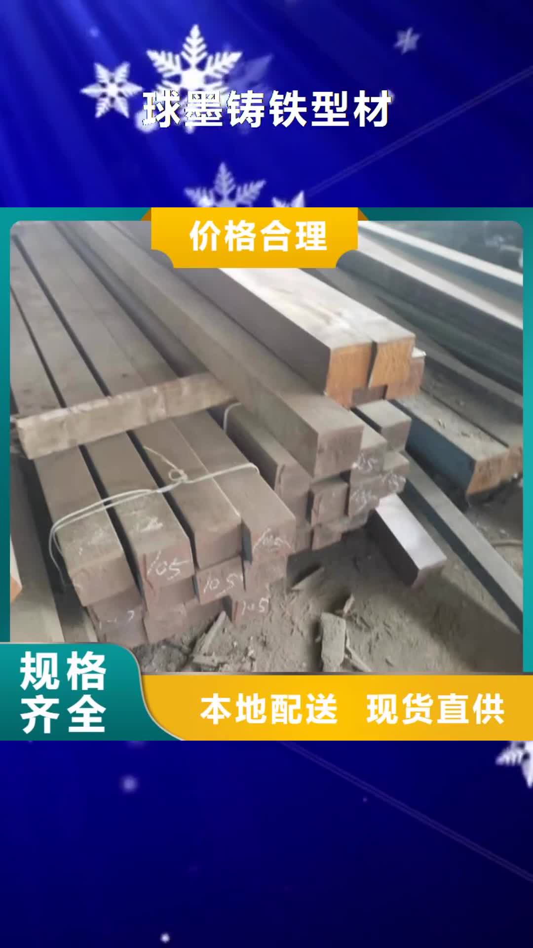 巴中 球墨铸铁型材【球墨铸铁管件厂家】严格把控质量