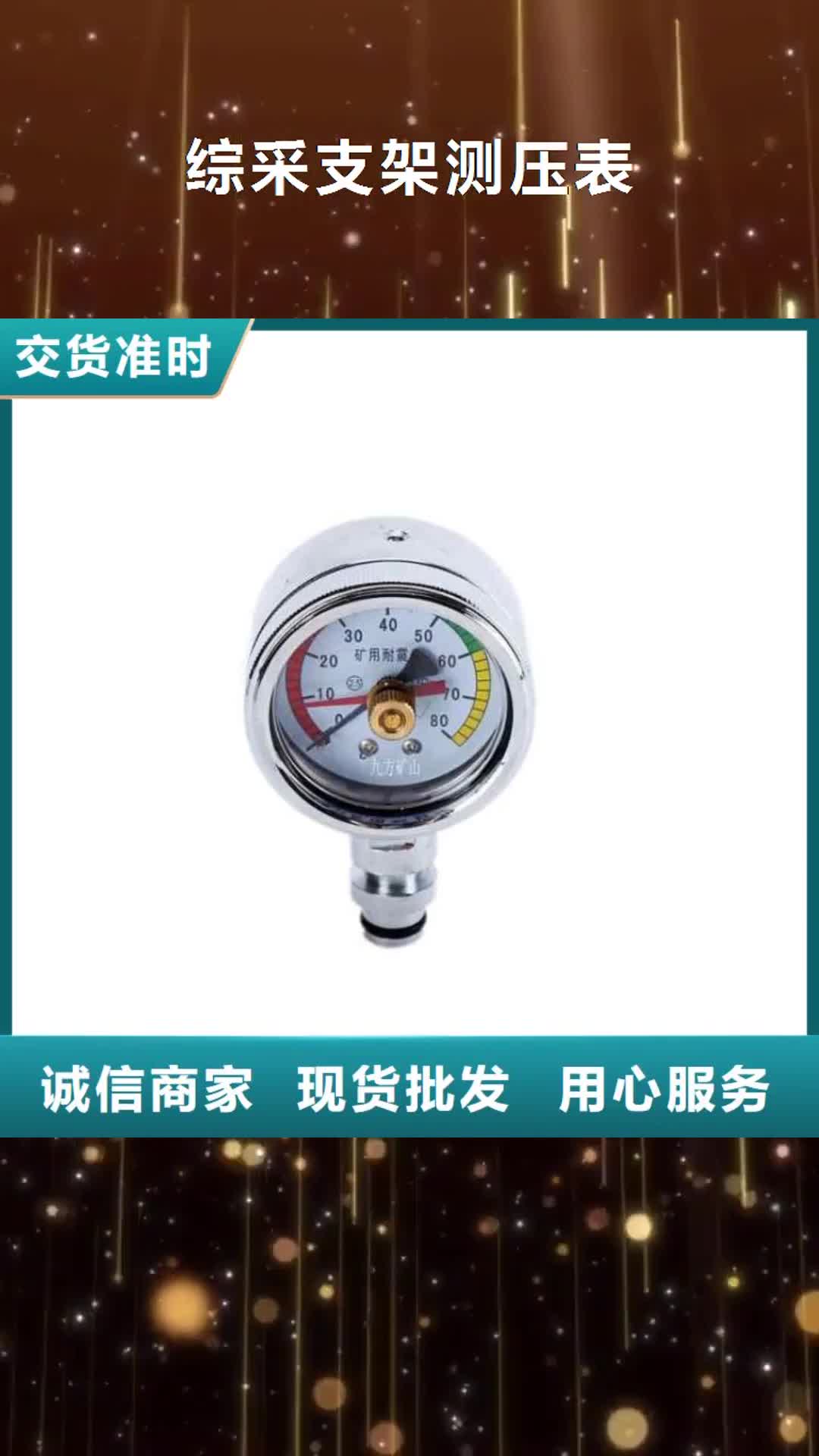 常州 综采支架测压表_【气体测定器】匠心制造