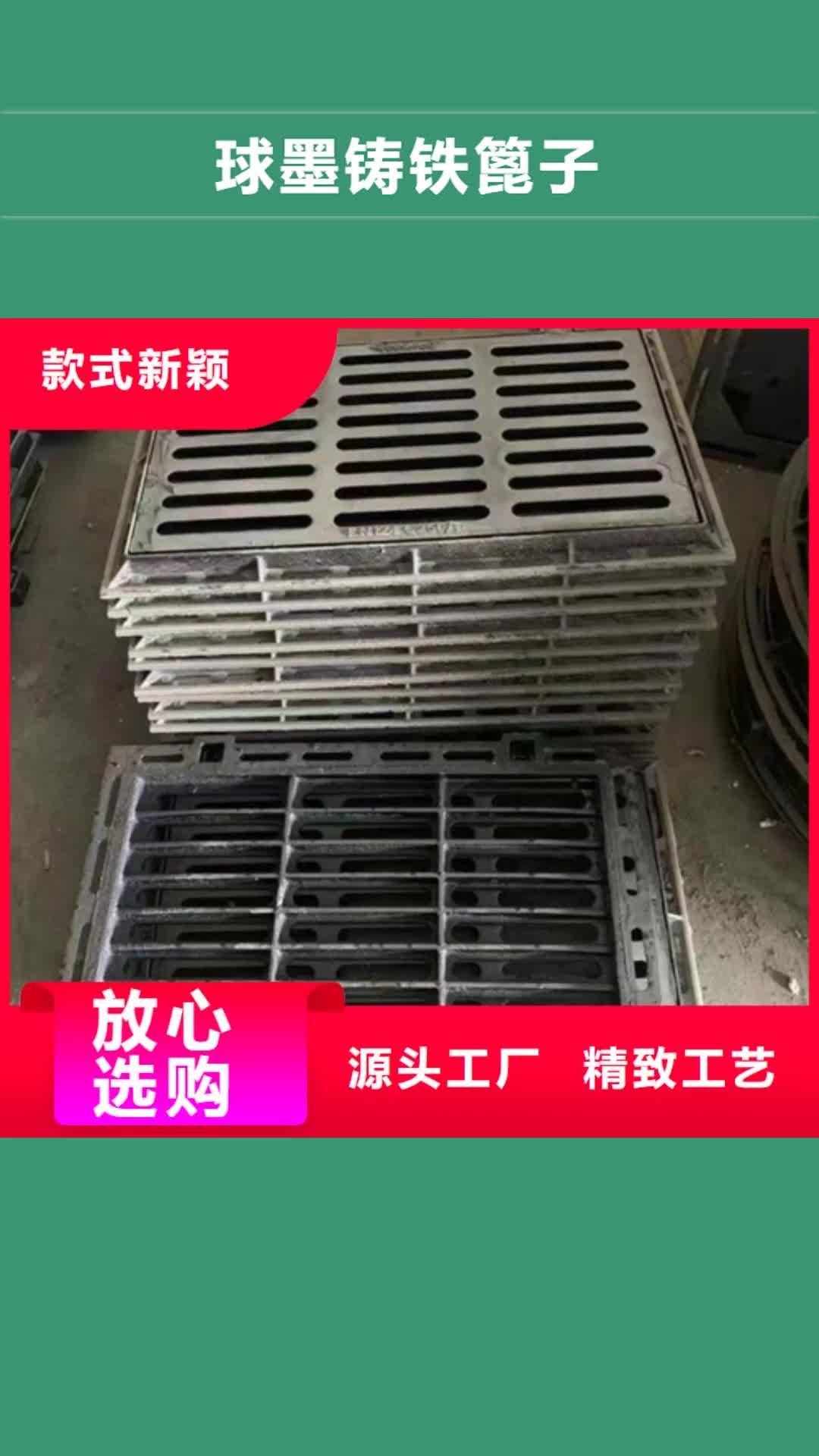 岳阳【球墨铸铁篦子】-DN80球墨铸铁服务周到