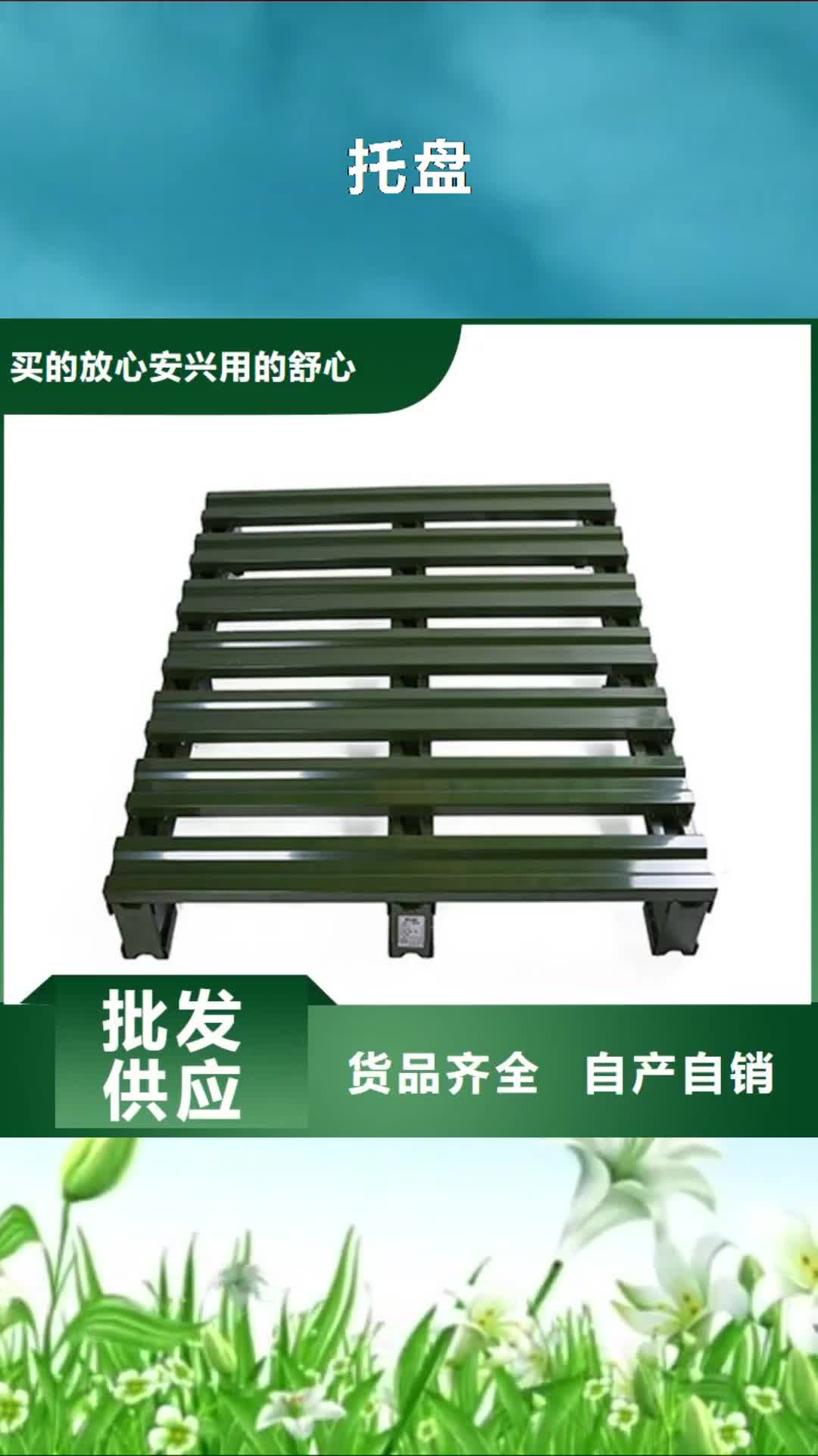 绍兴 托盘 【木托盘】实力优品