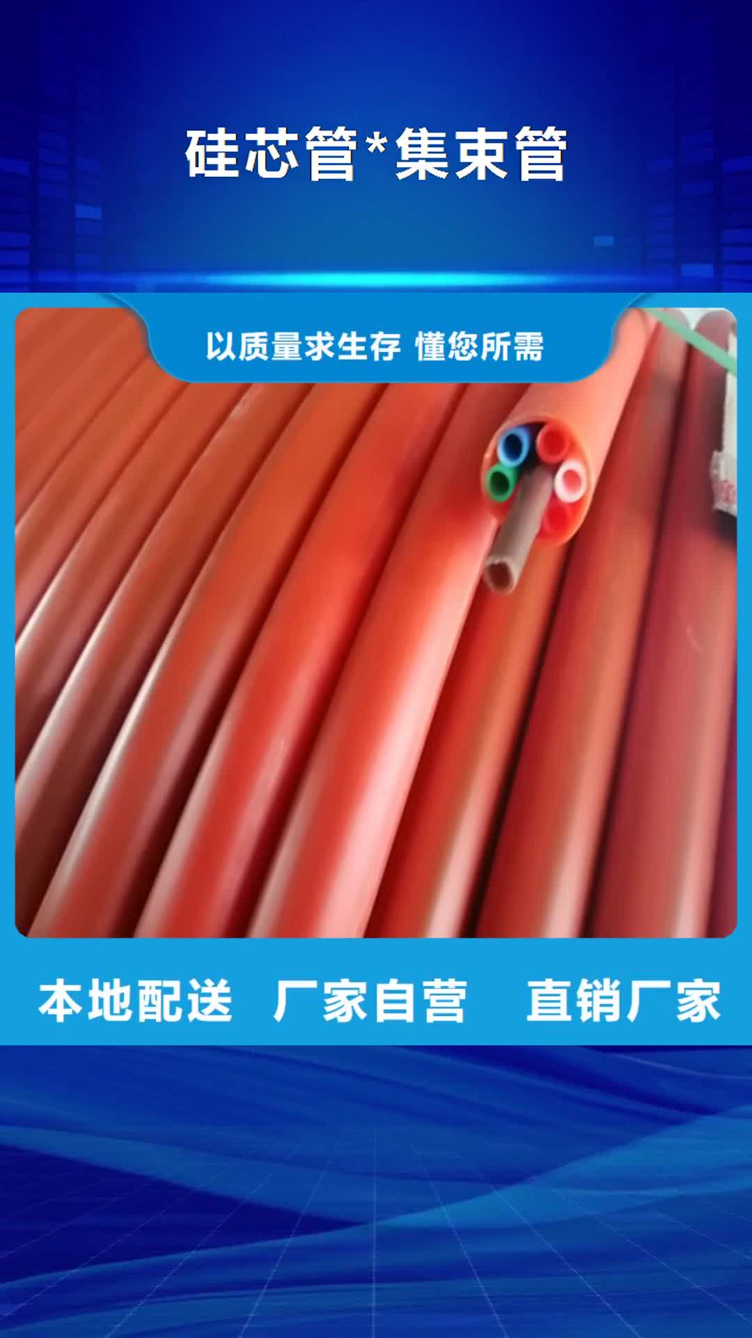 珠海【硅芯管*集束管】,PE给水管品牌专营