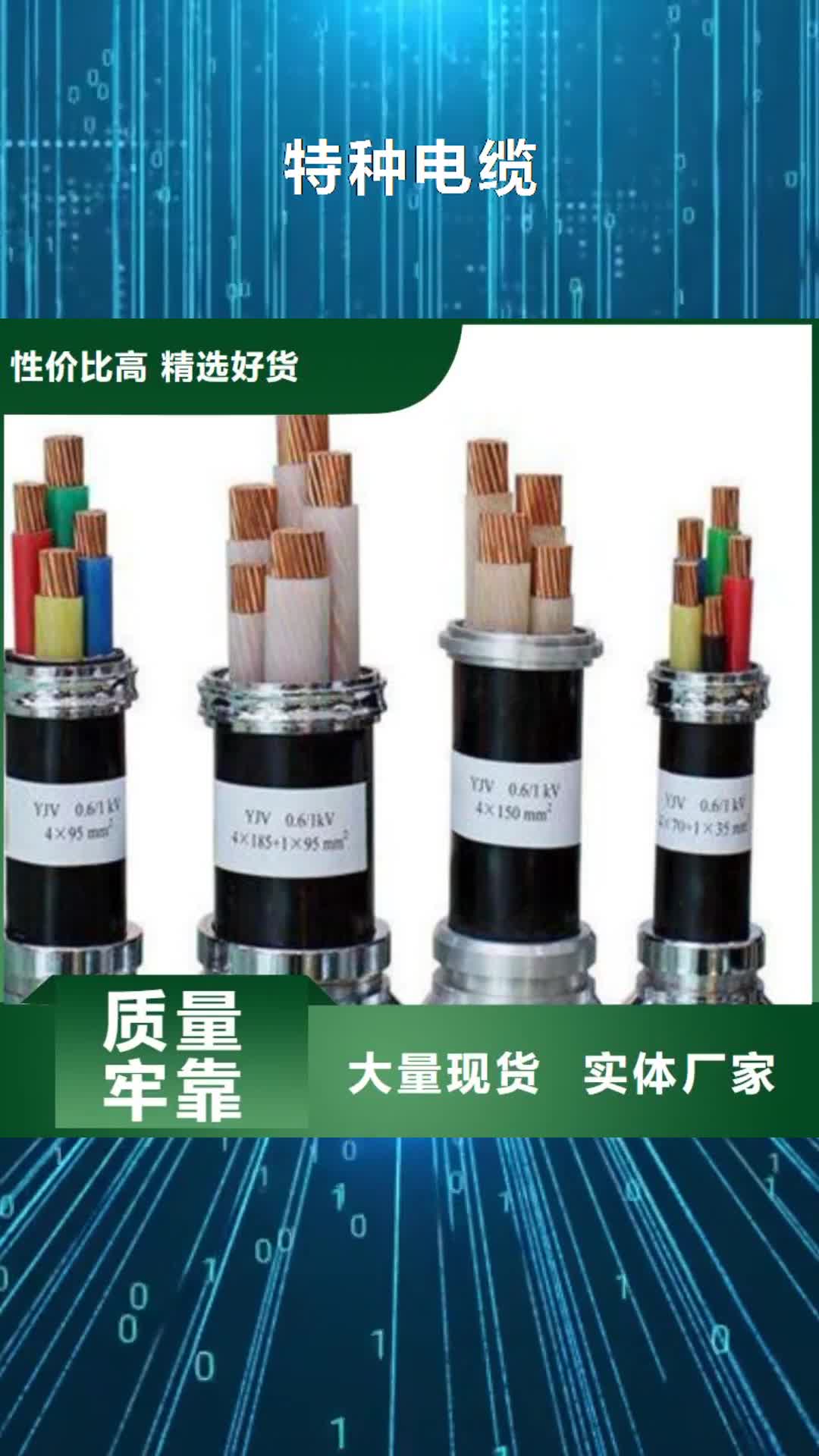 昭通 特种电缆【阻燃电缆厂家】价格实在